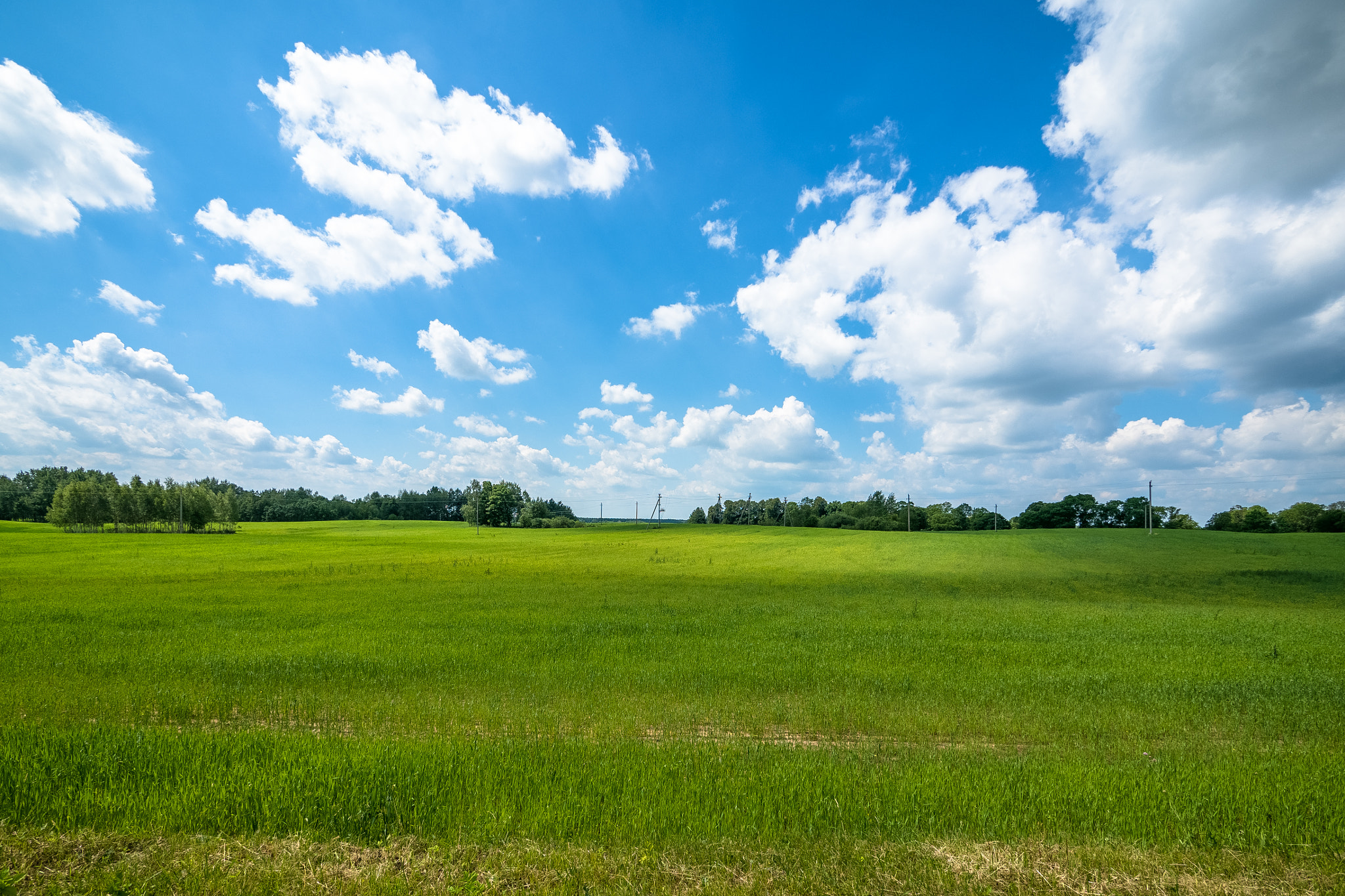 Panasonic Lumix G Vario 7-14mm F4 ASPH sample photo. Meadows photography