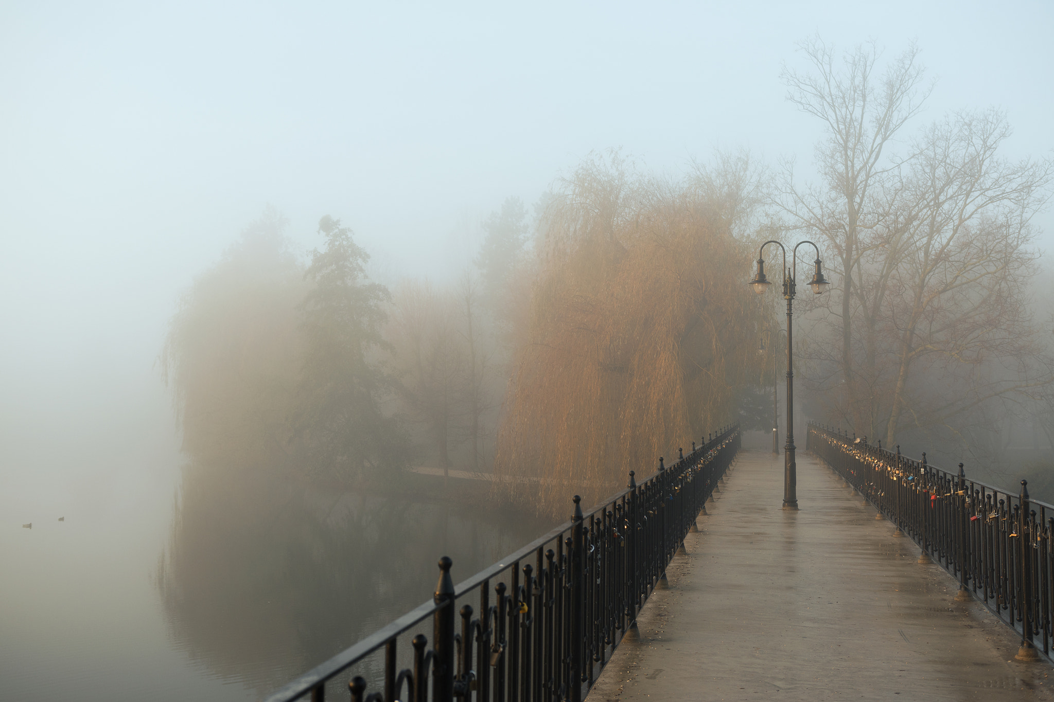 Nikon D5500 + Sigma 18-35mm F1.8 DC HSM Art sample photo. Szombathely autumn photography
