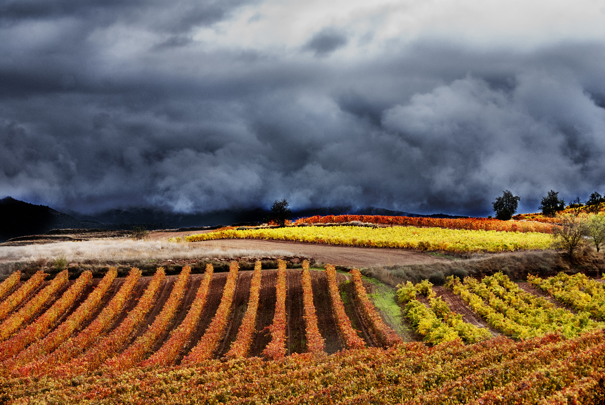 Nikon D80 sample photo. Autumn colors photography