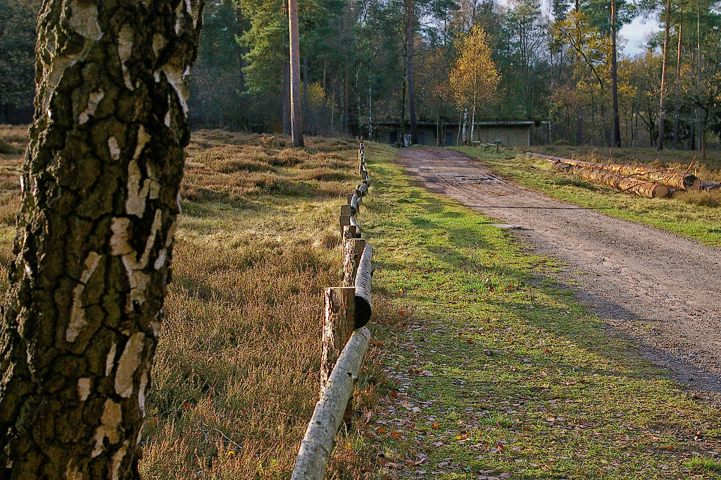 Pentax K100D Super sample photo. The wire photography