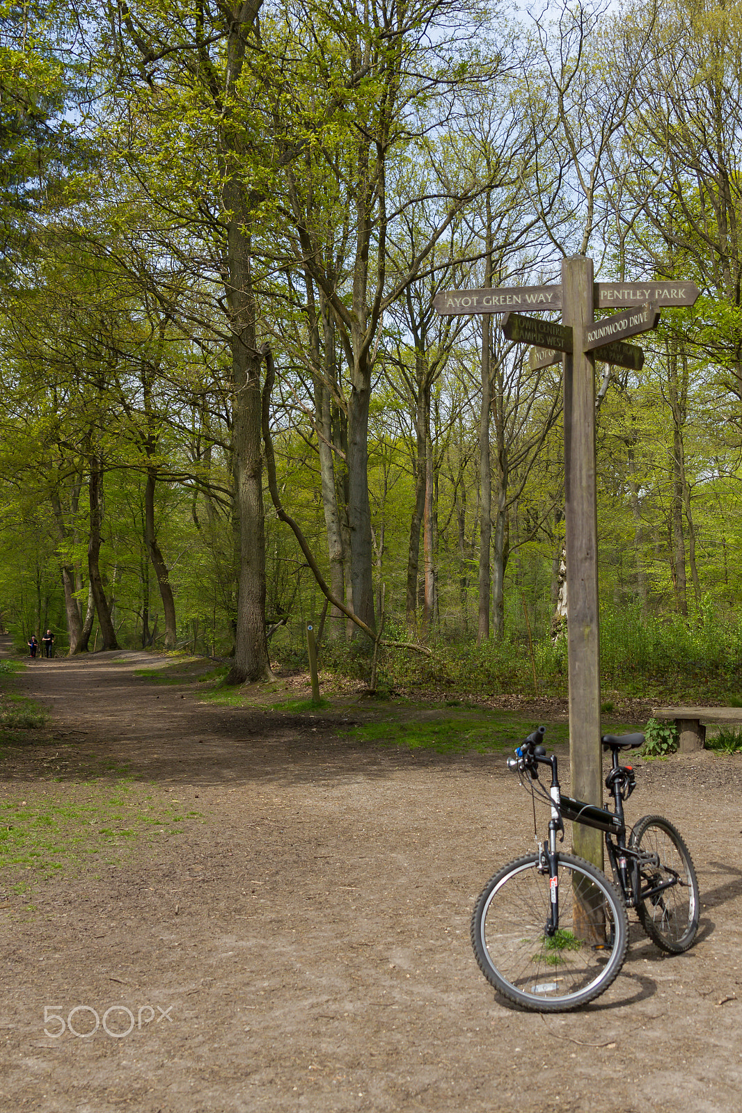 Canon EOS 550D (EOS Rebel T2i / EOS Kiss X4) sample photo. Cycling in the woods photography