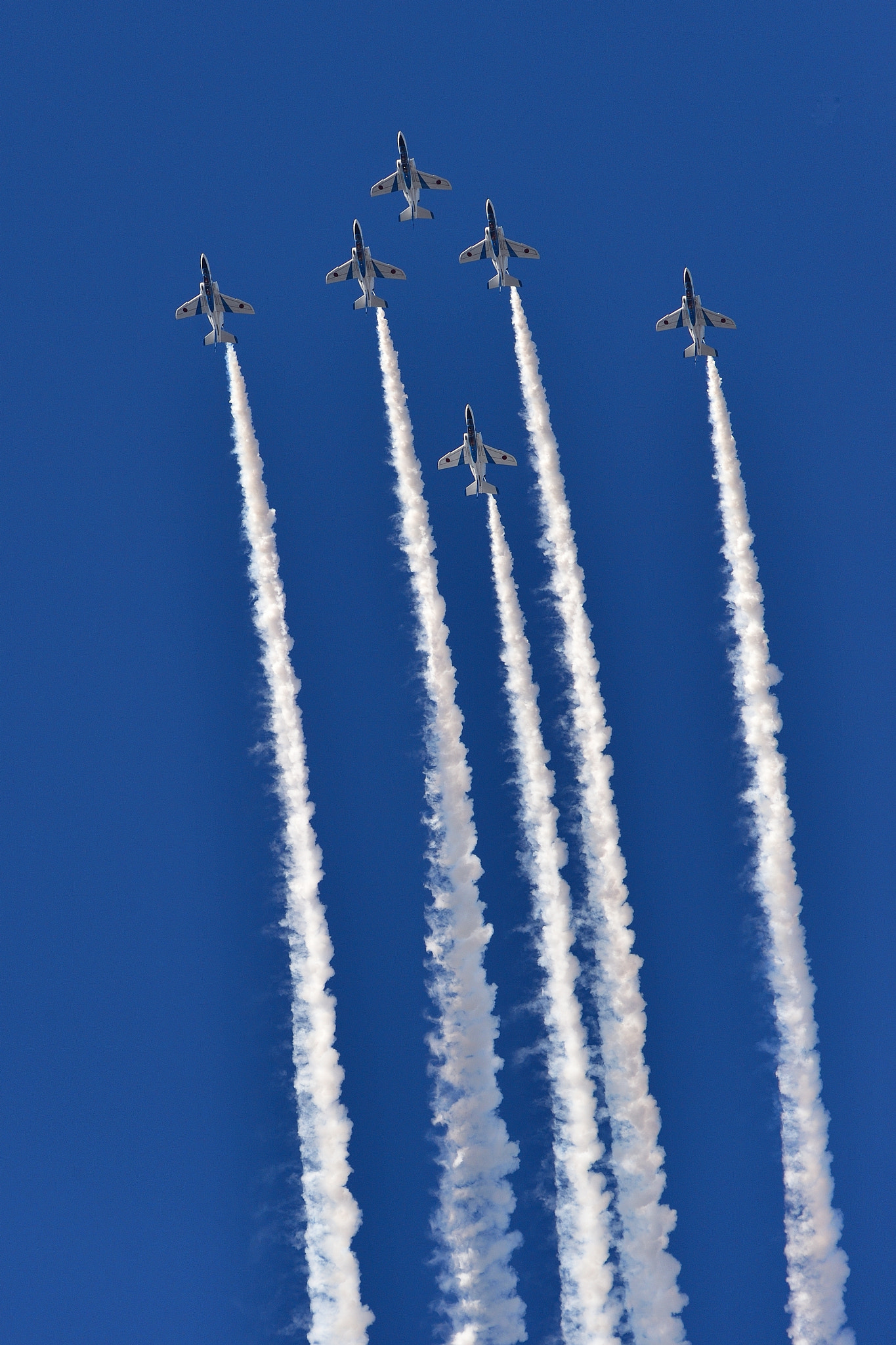 Nikon AF-S Nikkor 200-500mm F5.6E ED VR sample photo. Blue impulse photography