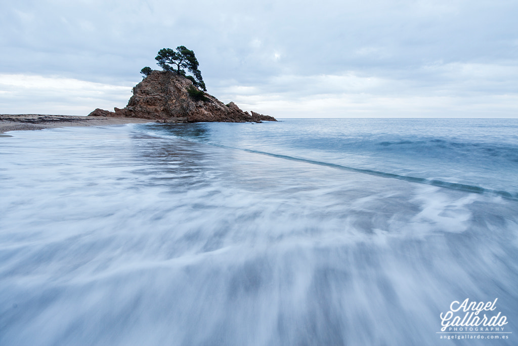 Canon EOS 40D + Canon EF-S 10-18mm F4.5–5.6 IS STM sample photo. Cap roig photography