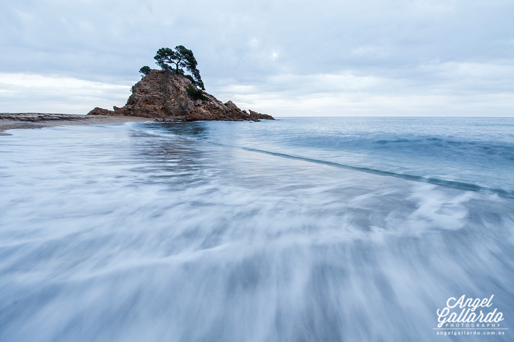 Canon EOS 40D sample photo. Cap roig photography