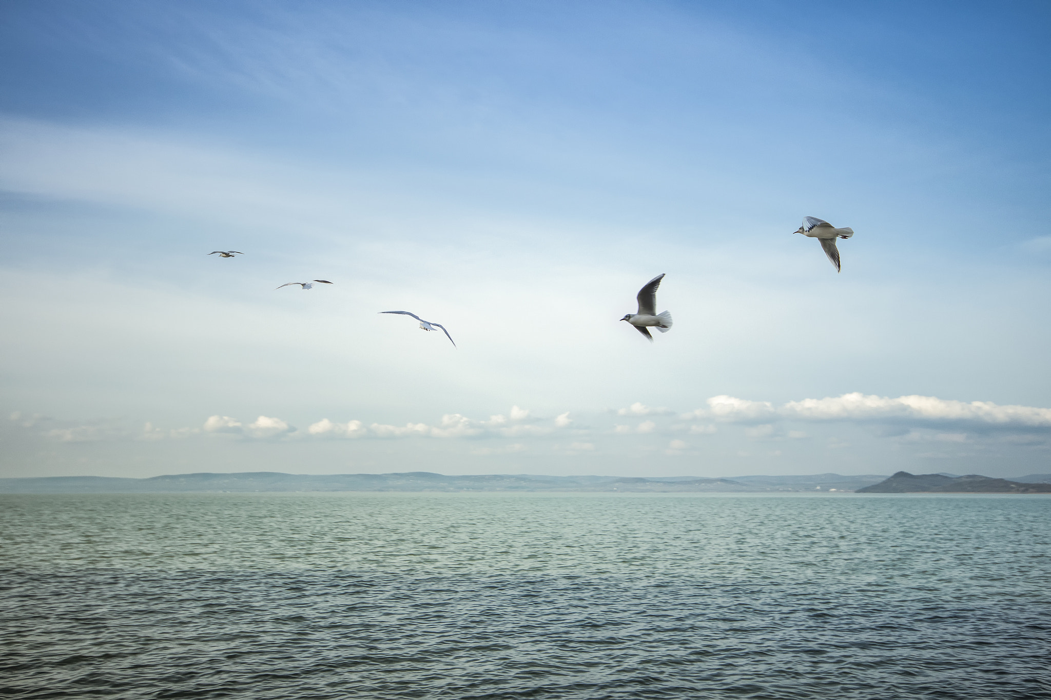 Canon EOS 700D (EOS Rebel T5i / EOS Kiss X7i) + Sigma 10-20mm F4-5.6 EX DC HSM sample photo. Freedom... photography