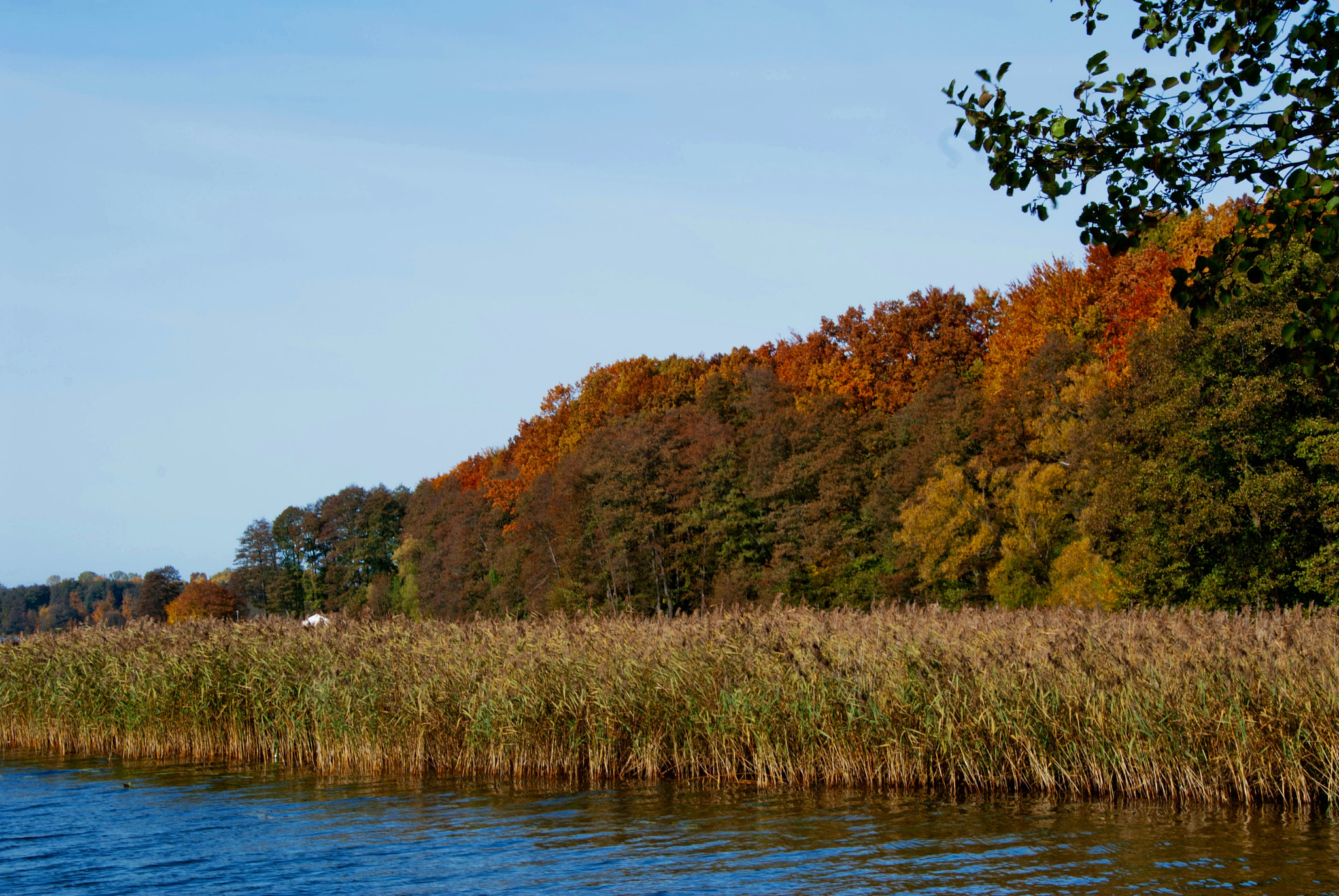 Sony Alpha DSLR-A300 sample photo. Jeziora, sępoleńskie photography