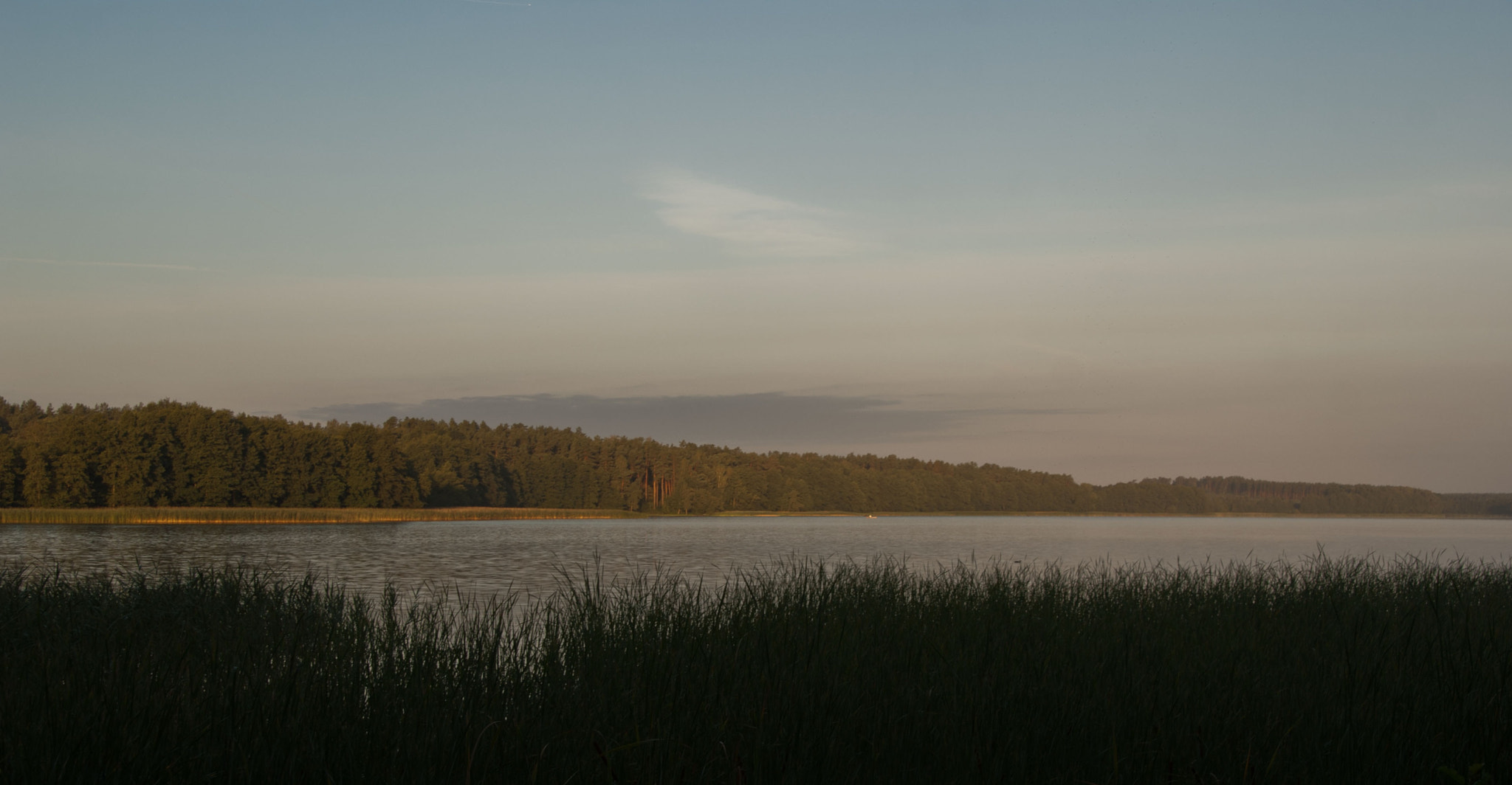 Tamron 18-270mm F3.5-6.3 Di II PZD sample photo. Nim wstanie dzień photography
