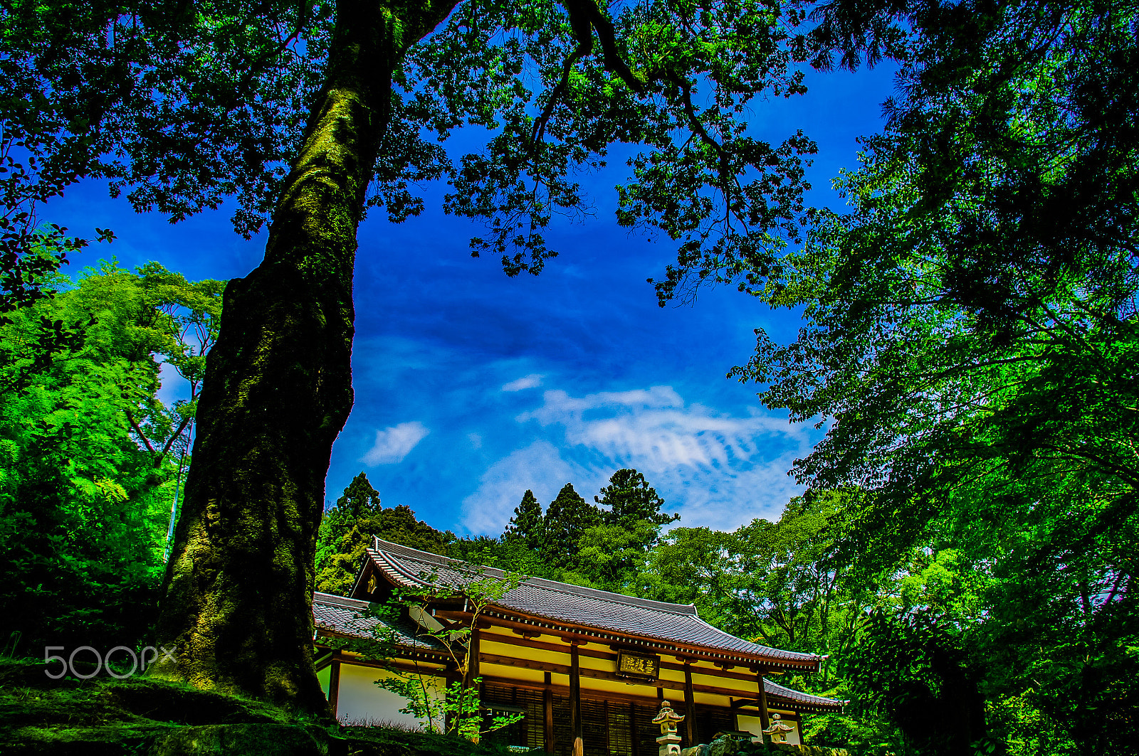 Pentax K20D sample photo