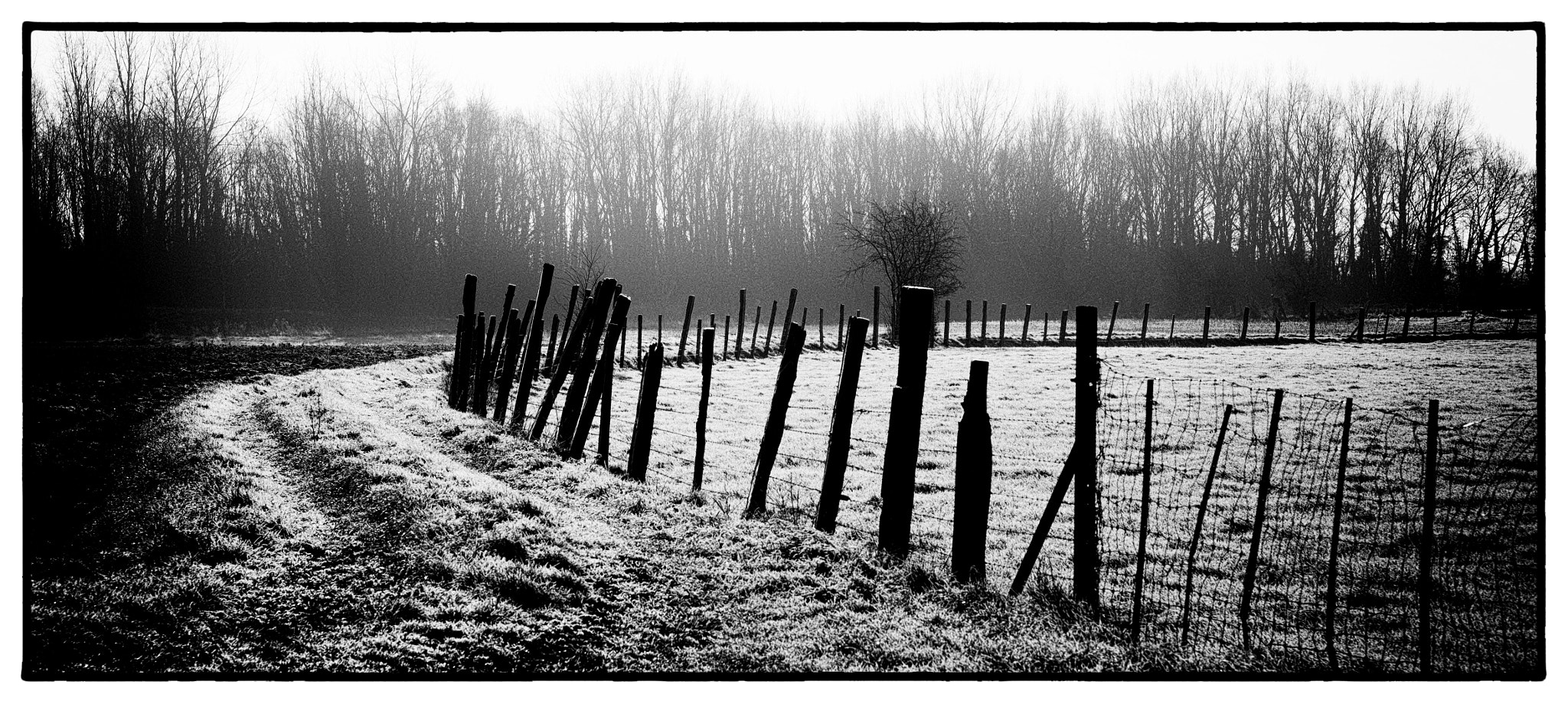 Fujifilm X-T1 sample photo. Campagne ..b&w photography