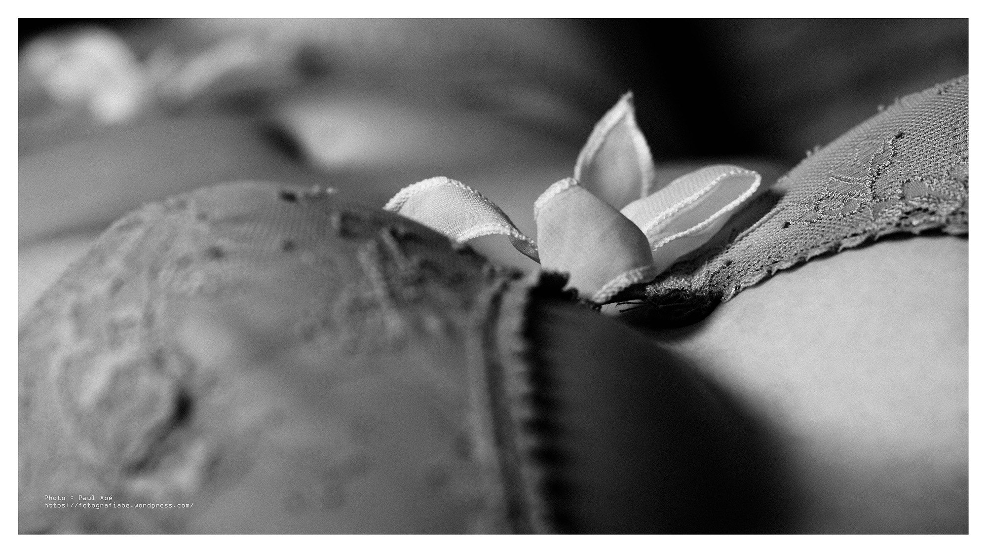 Canon EOS-1D Mark IV sample photo. Secret garden photography