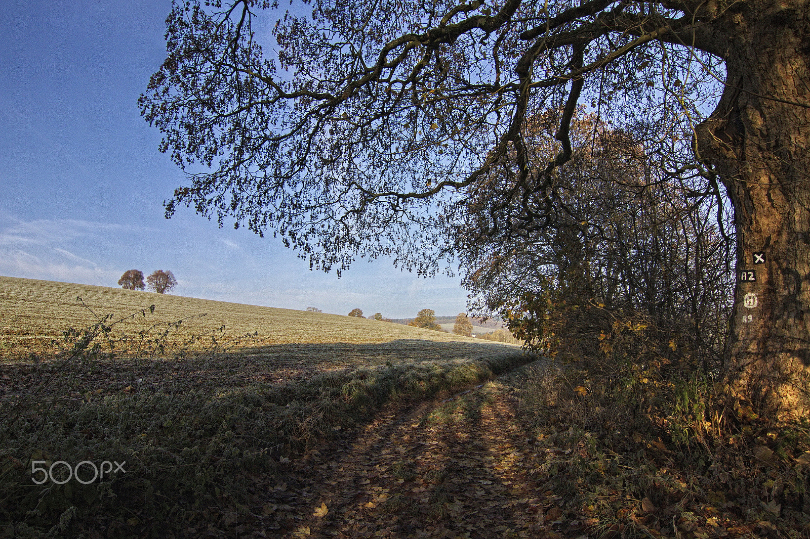 Tokina AT-X Pro 12-24mm F4 (IF) DX sample photo. Sunny and cold photography