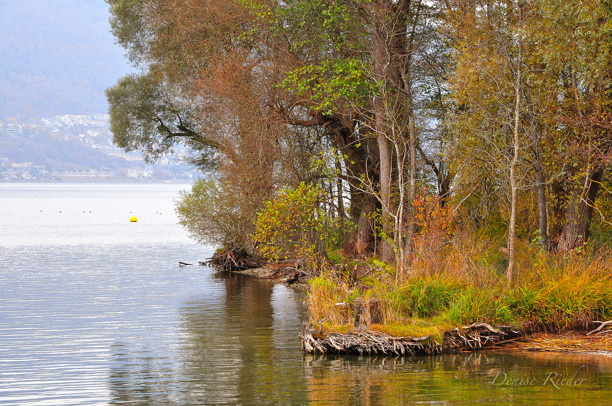 Nikon D5000 sample photo. Bielersee photography