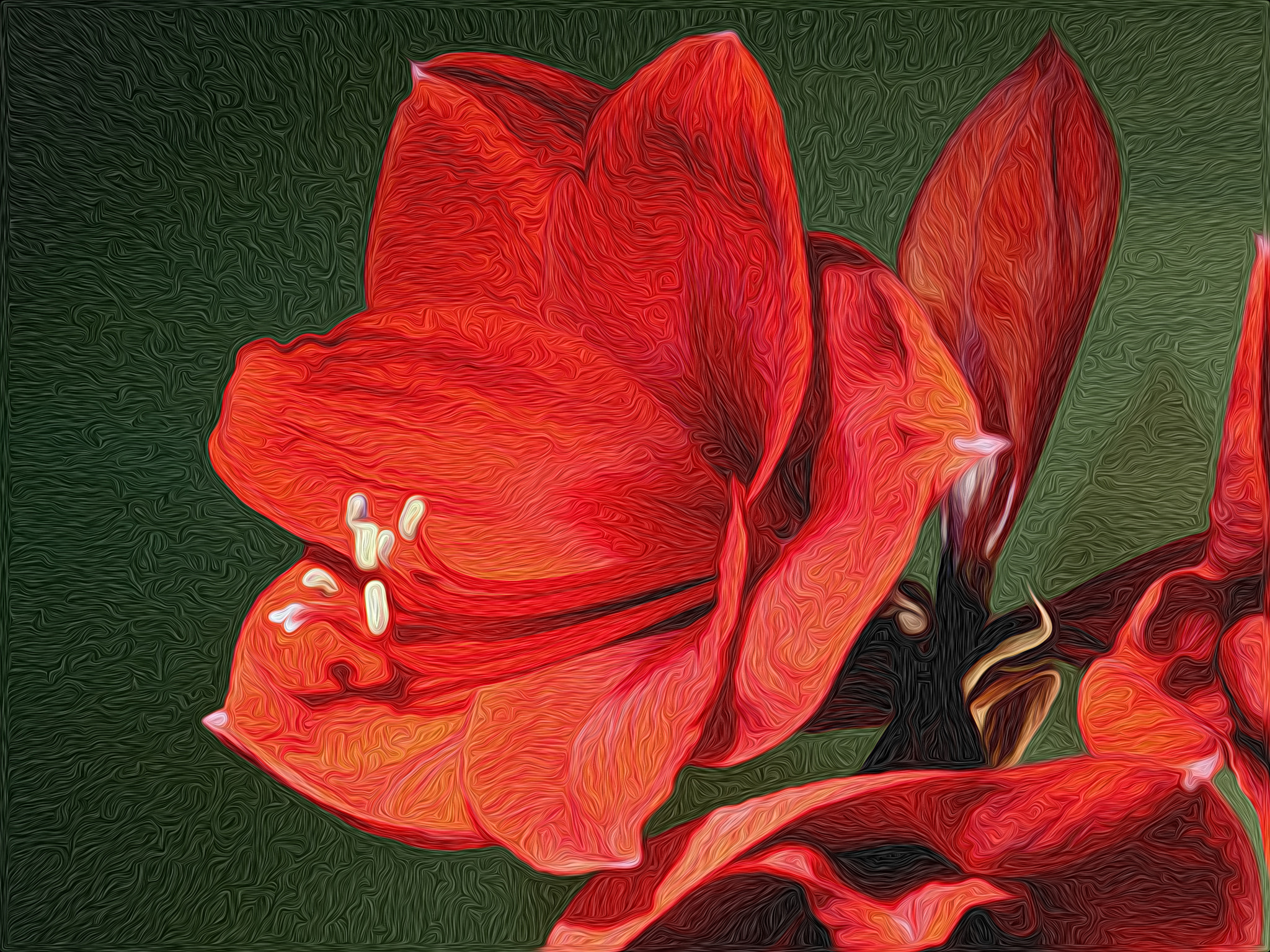 Panasonic Lumix DMC-G1 sample photo. Amaryllis photography