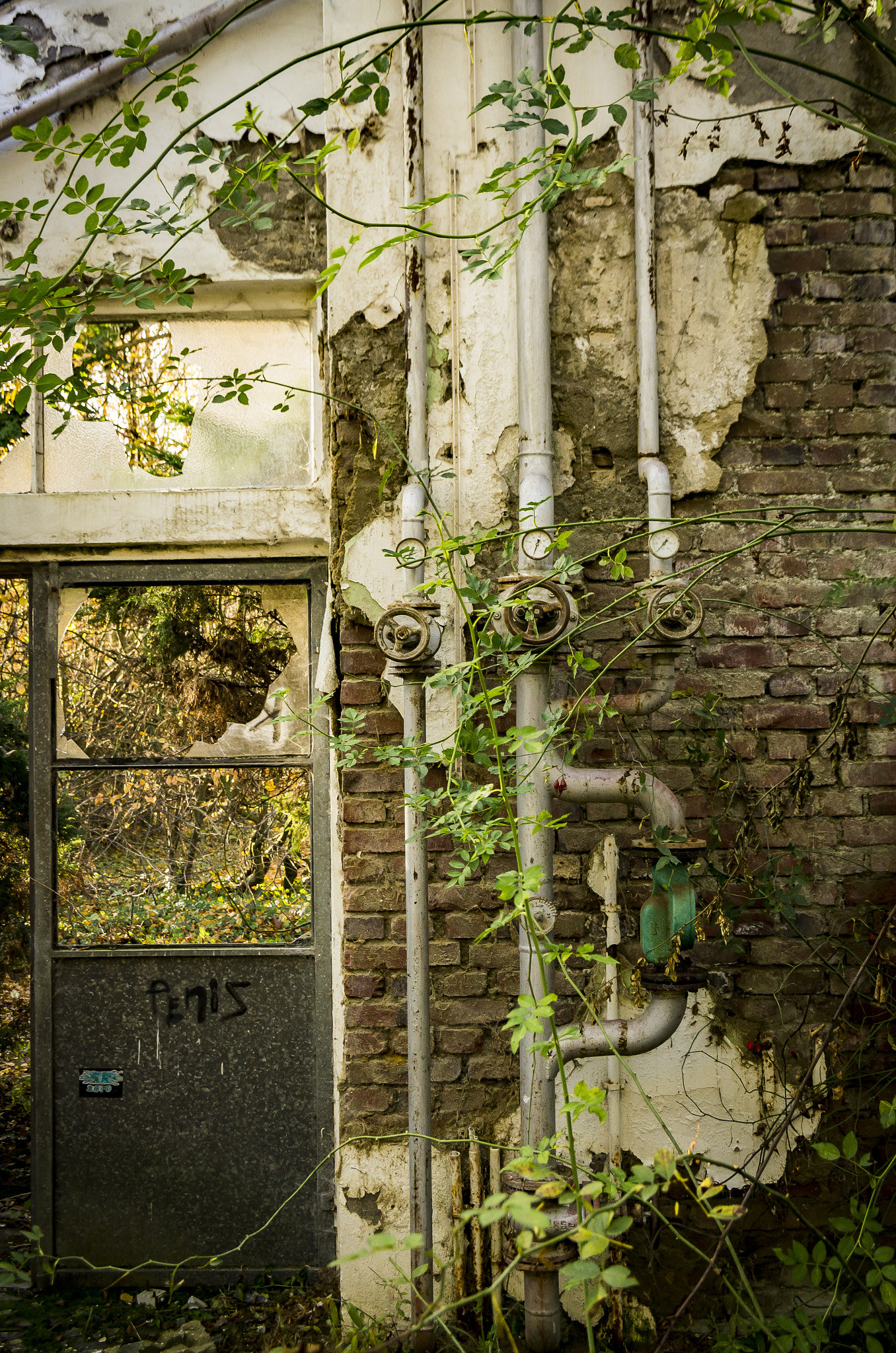Pentax smc DA 16-45mm F4 ED AL sample photo. Abandoned horticulture, peniz° photography