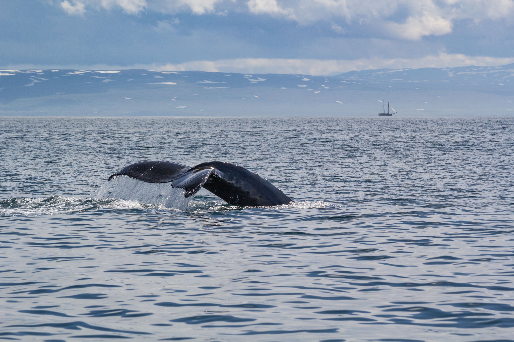 Canon EOS 60D sample photo. Into the deep photography