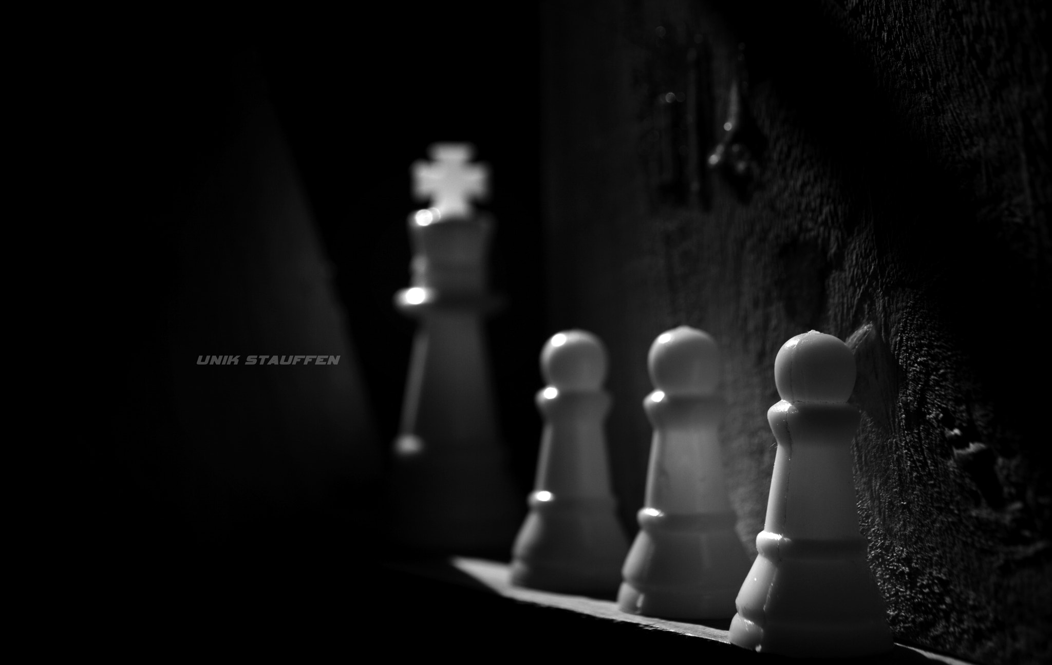 Nikon D3200 sample photo. Follow the king photography