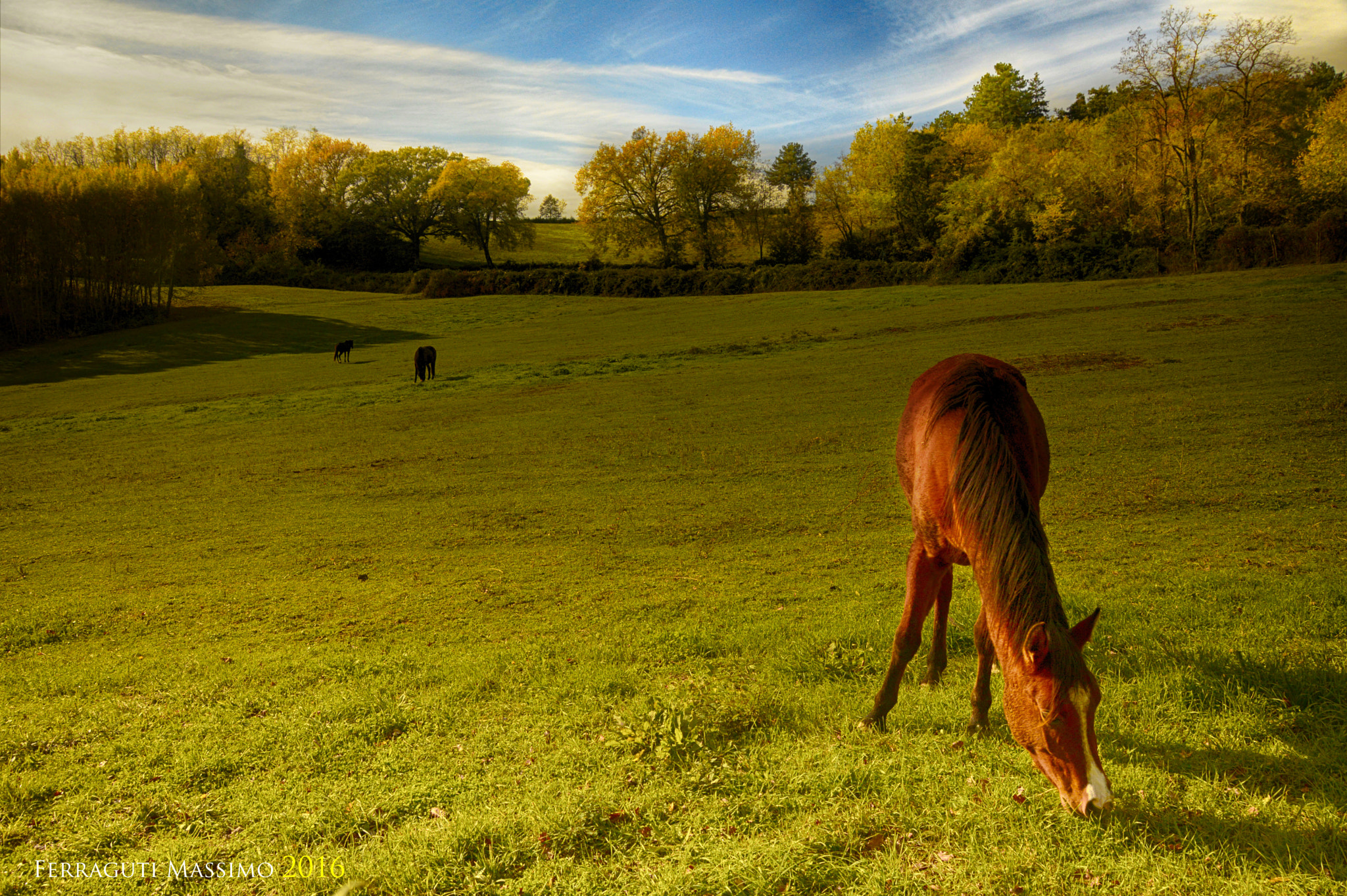18,0-200,0 mm f/3,5-5,6 sample photo. ...dintorni di anghiari ,toscana... photography