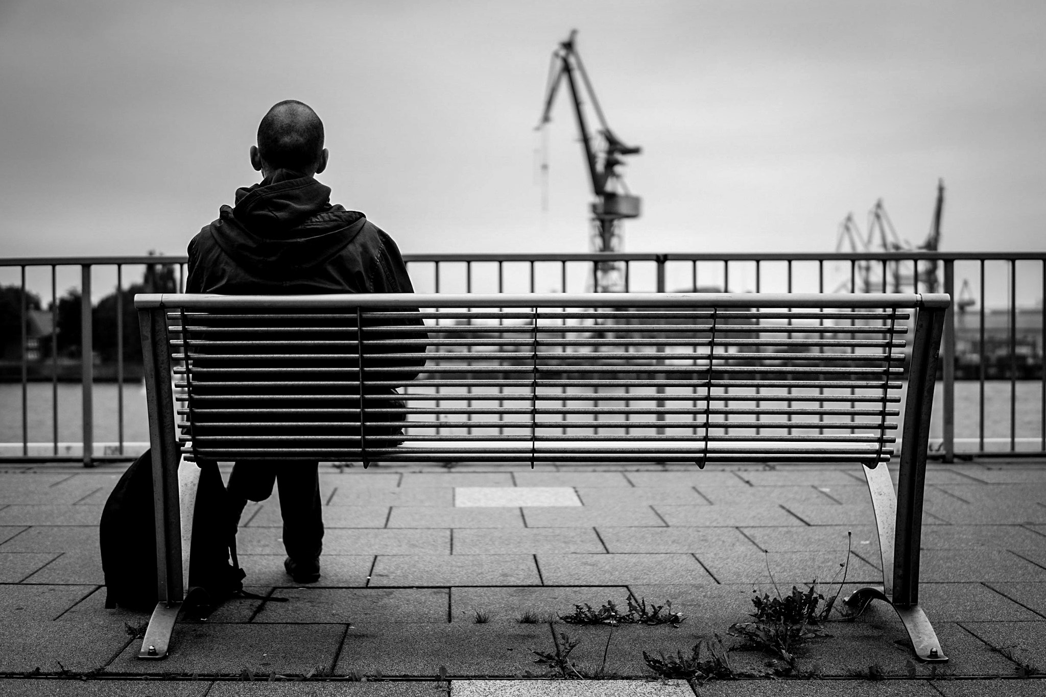 Sony a6000 + Sigma 30mm F1.4 DC DN | C sample photo. Hafen photography
