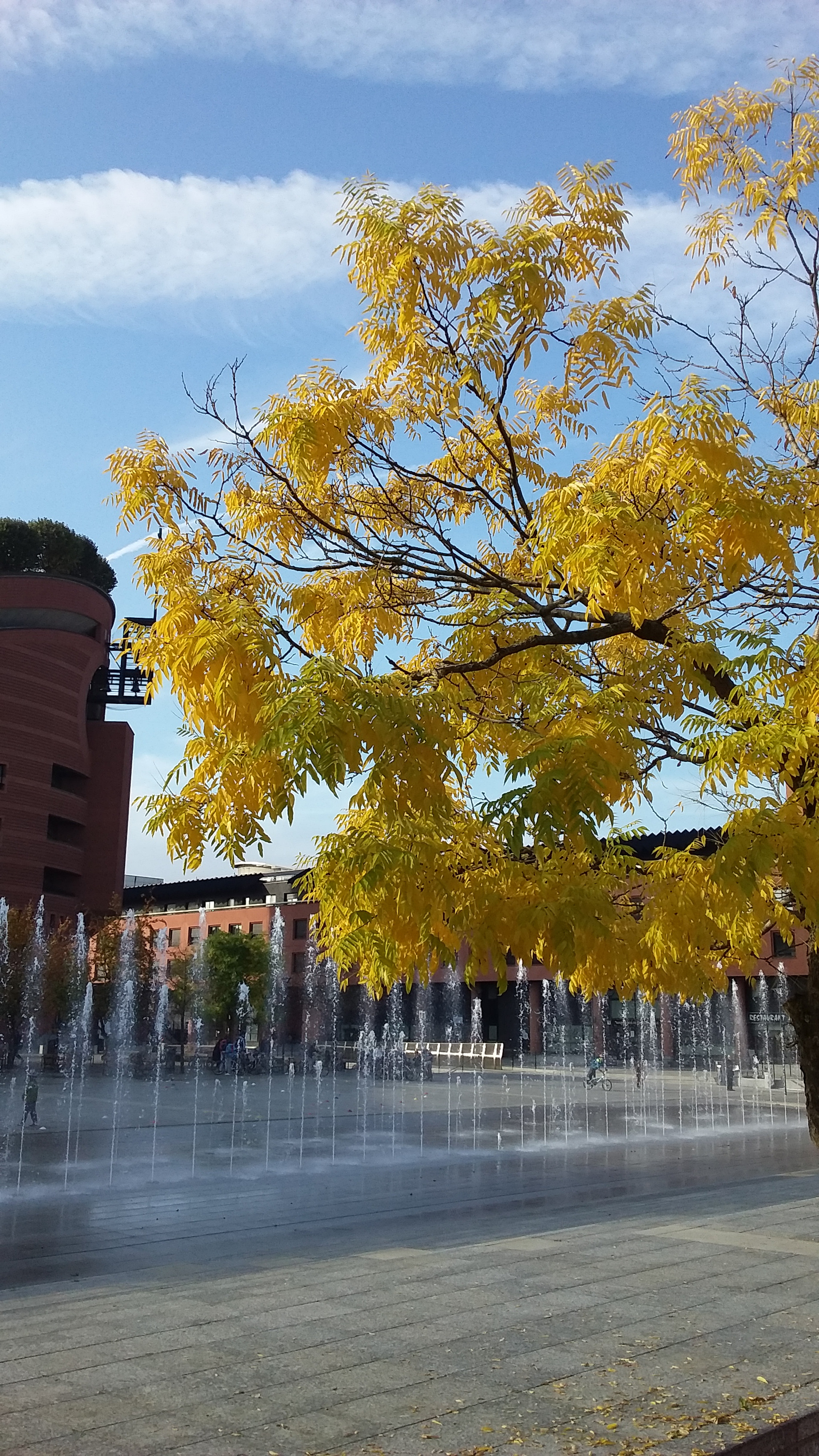 Samsung Galaxy J3 Pro sample photo. 20161028_110606.jpg photography