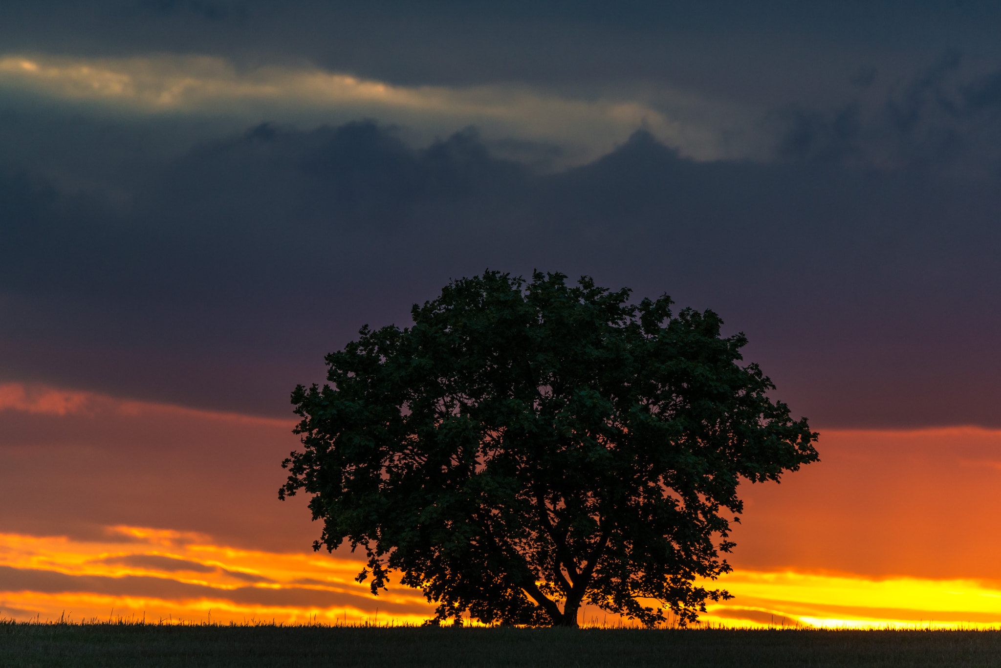 Nikon D800 sample photo. Apocalypse wow photography