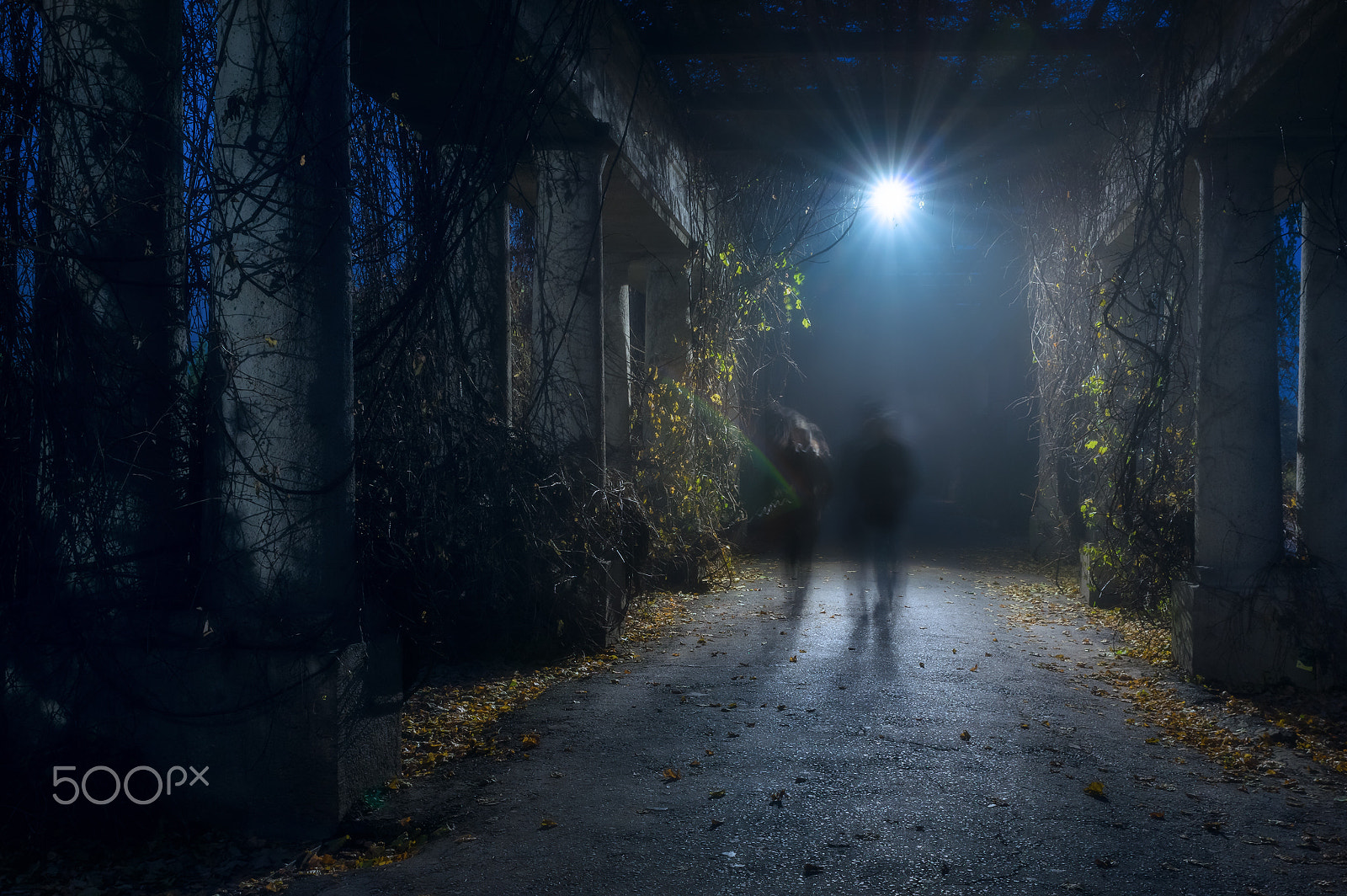 HD Pentax D FA 24-70mm F2.8 ED SDM WR sample photo. Walking in darkness photography