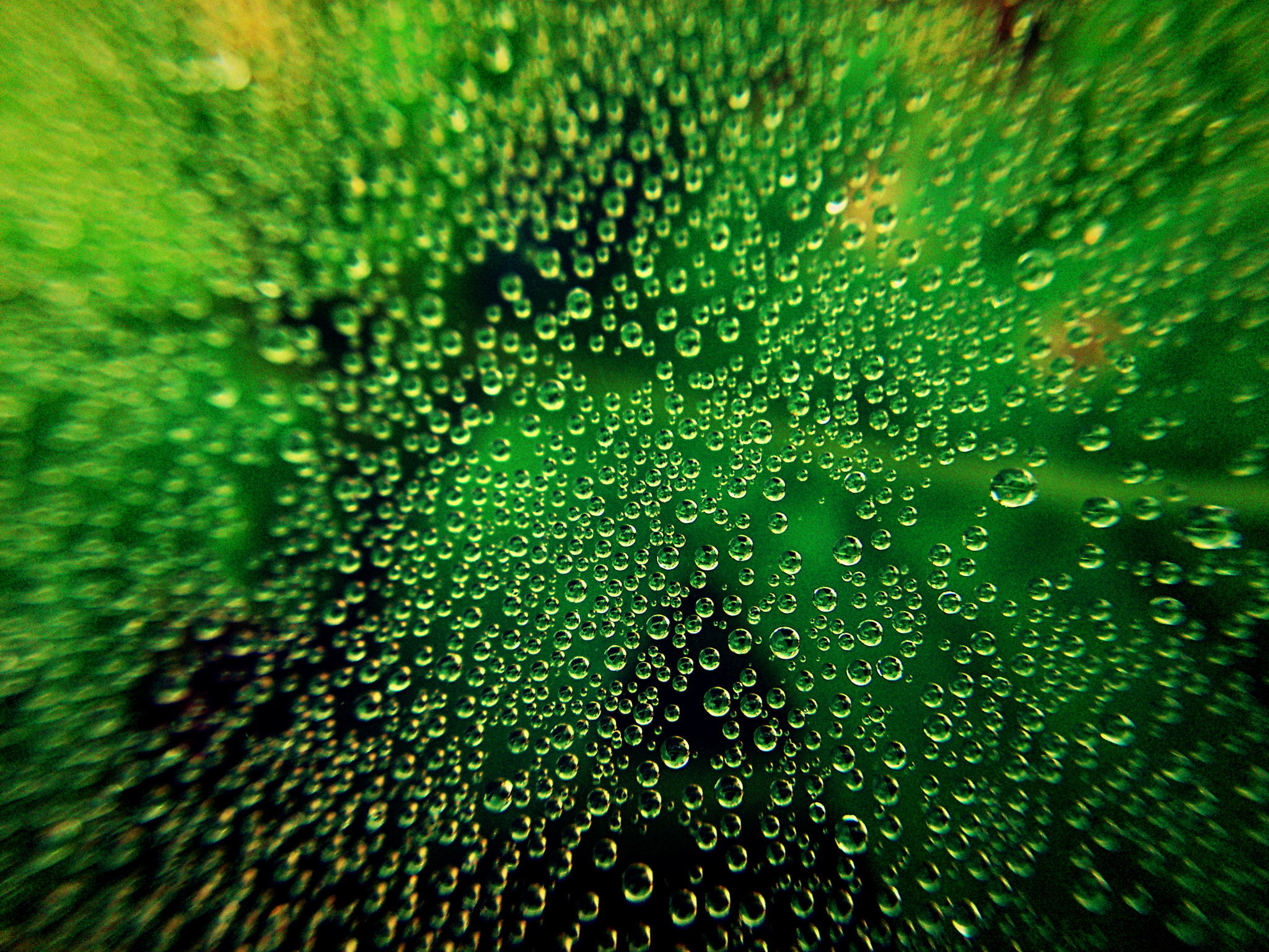 Sony Ericsson Xperia arc S sample photo. W a t e r  d r o p s photography