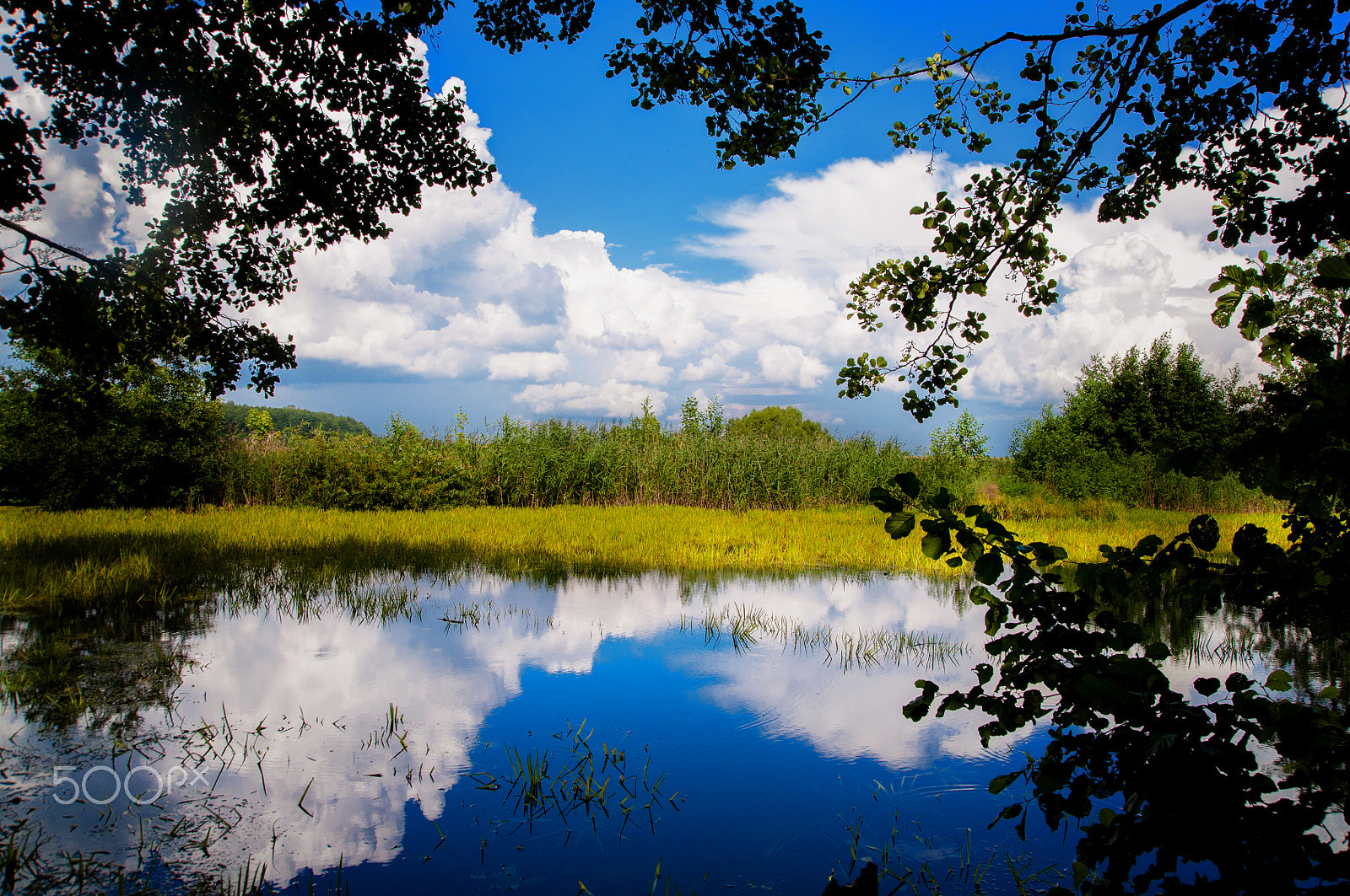 Nikon D5000 sample photo. Страна озёр... photography