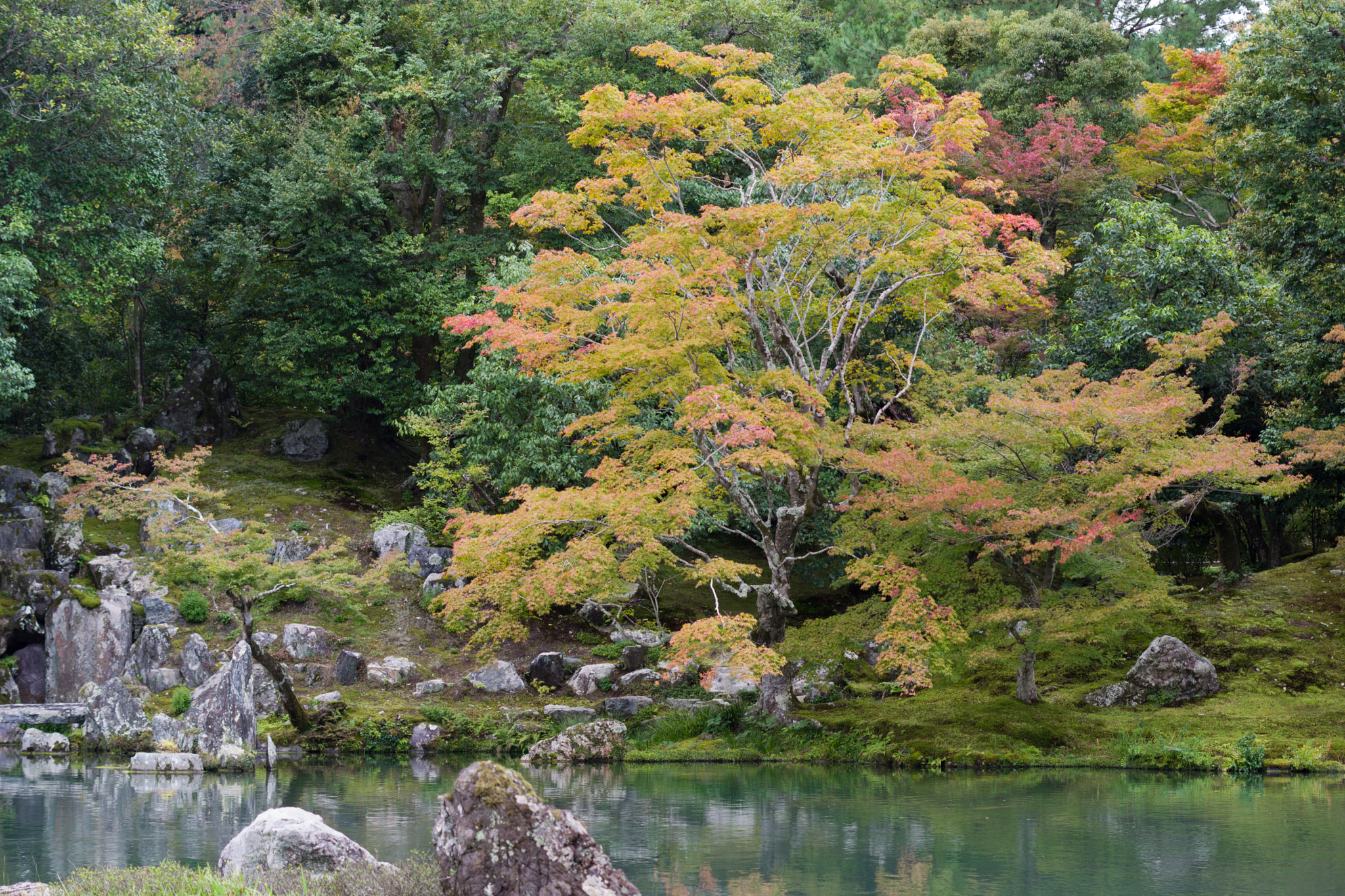 Pentax K-70 sample photo. 曹源池庭園 photography