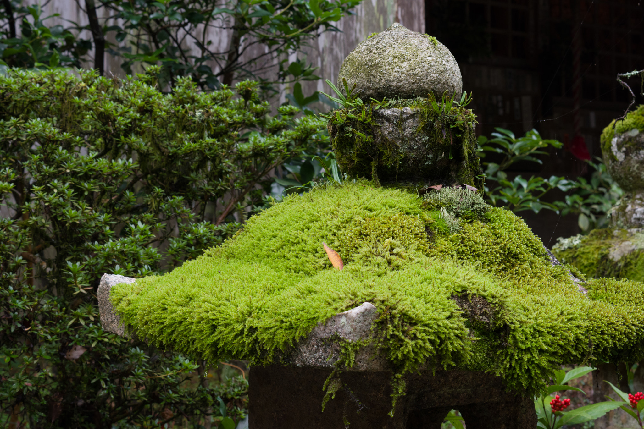 Pentax K-70 + Pentax smc DA 50mm F1.8 sample photo. 書寫山圓教寺 photography