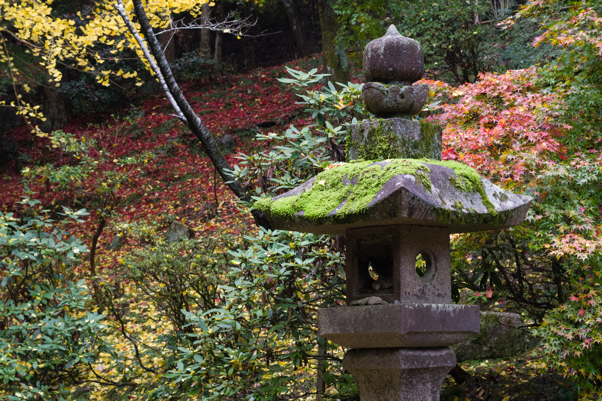 Pentax K-70 sample photo. 書寫山圓教寺 photography