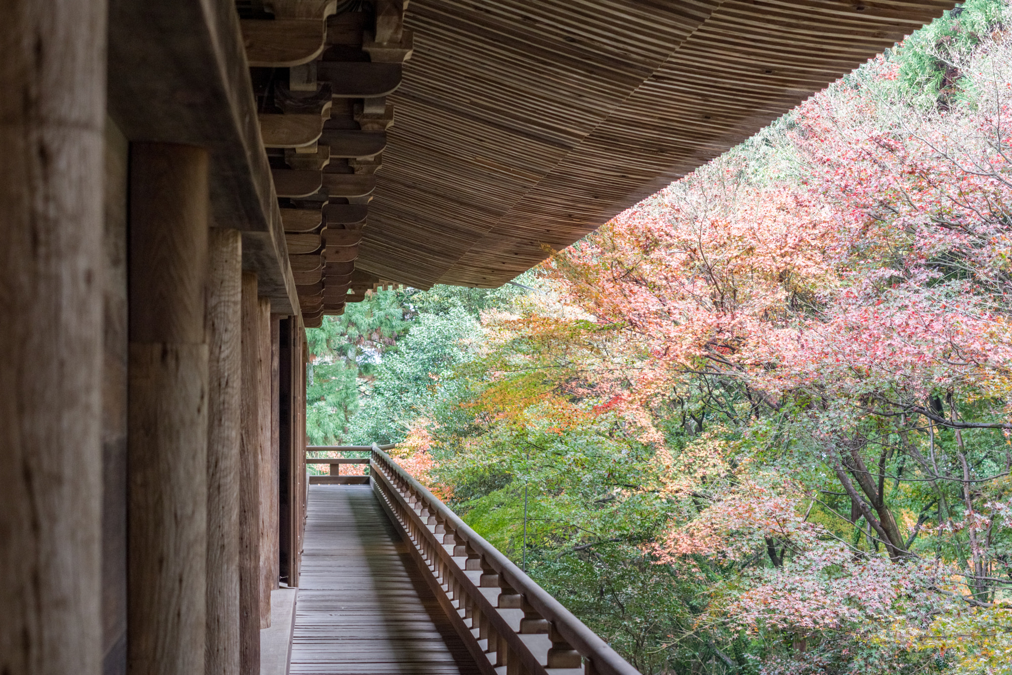 Pentax K-70 + Pentax smc DA 50mm F1.8 sample photo. 書寫山圓教寺 photography