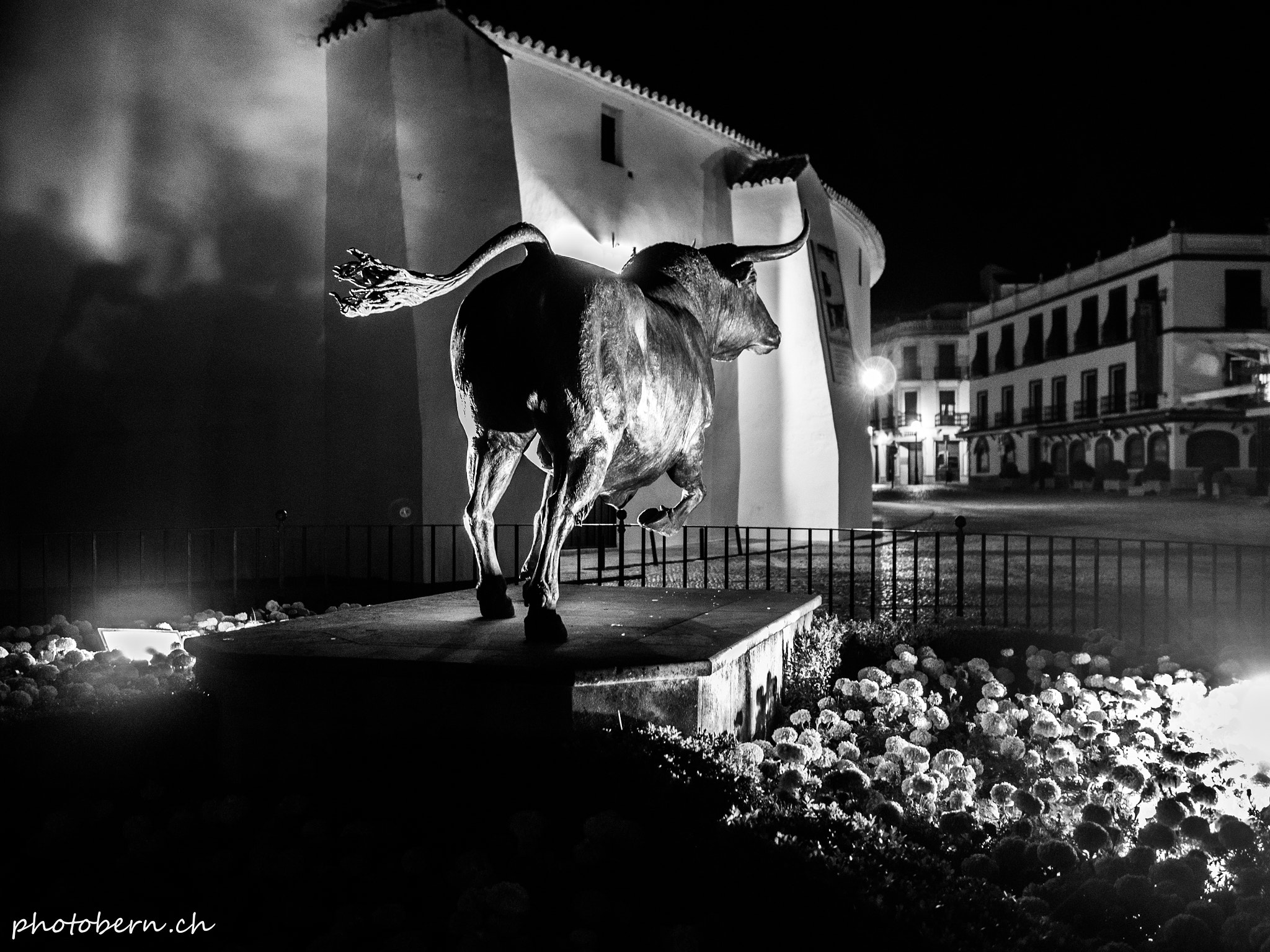 Olympus OM-D E-M1 + Olympus M.Zuiko Digital 17mm F1.8 sample photo. Stier ronda photography
