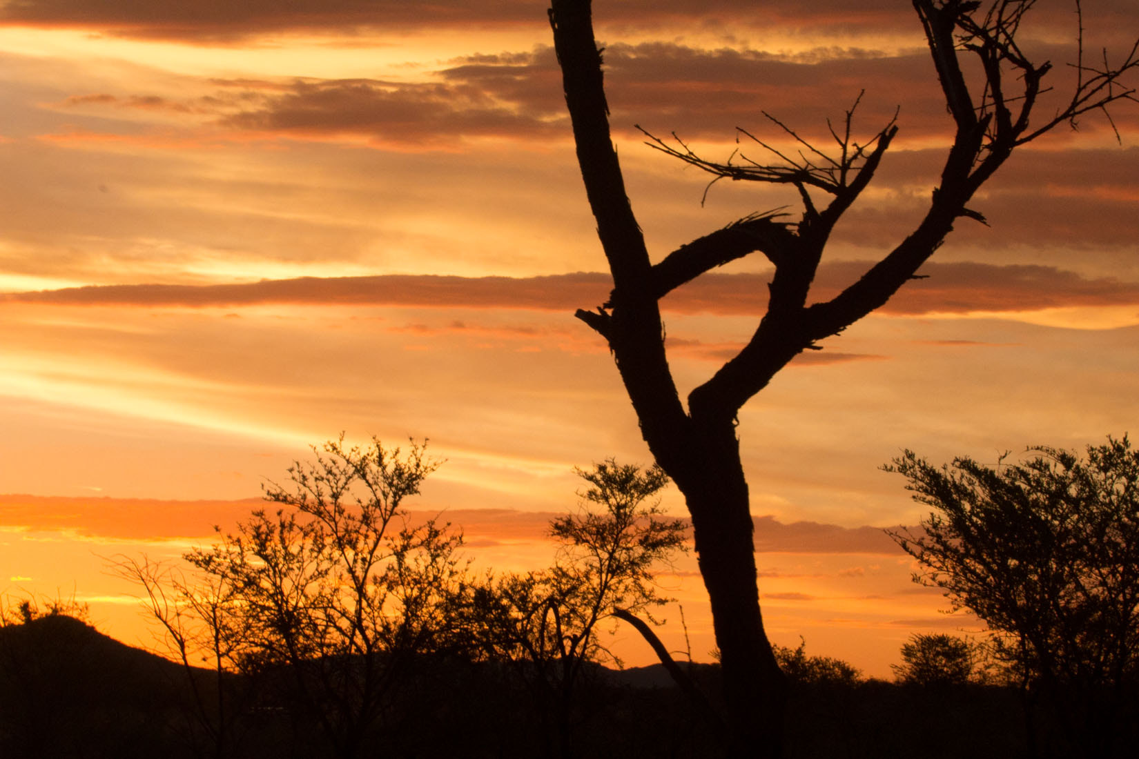 Canon EF 100-400mm F4.5-5.6L IS USM sample photo. Animals of south africa photography