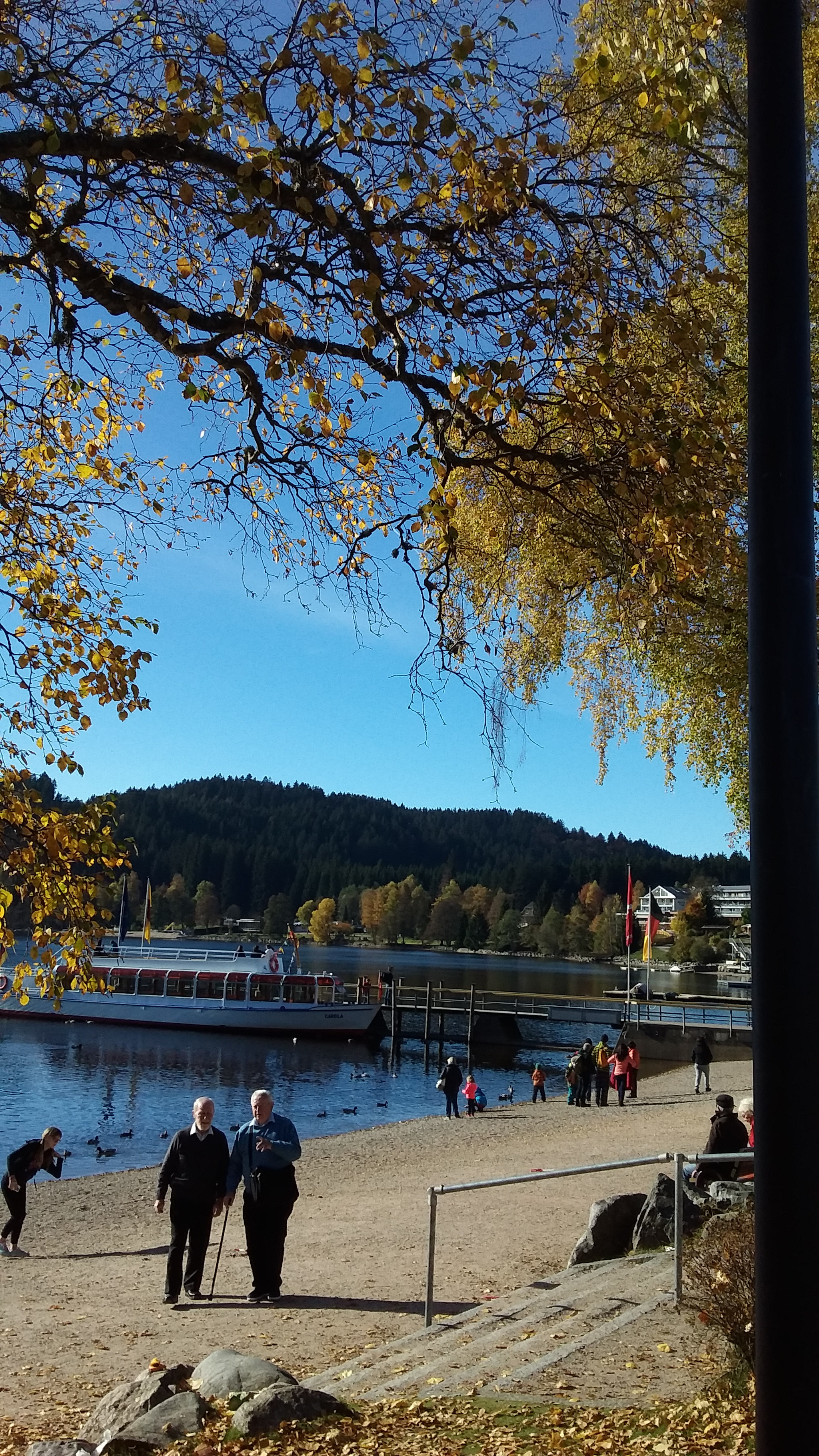 Samsung Galaxy J3 Pro sample photo. 20161031_133933.jpg photography