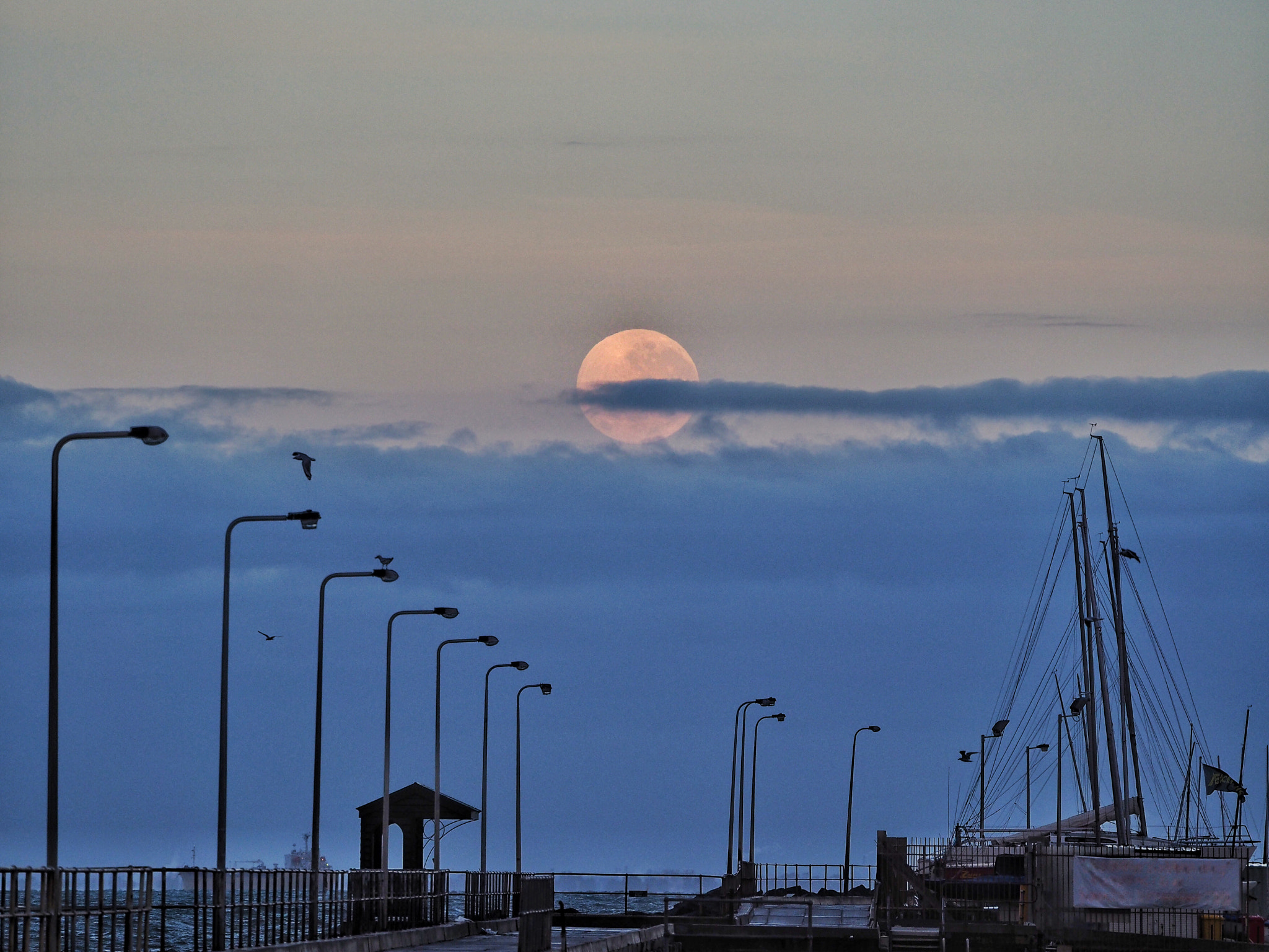 Olympus OM-D E-M10 sample photo. A setting super moon. photography