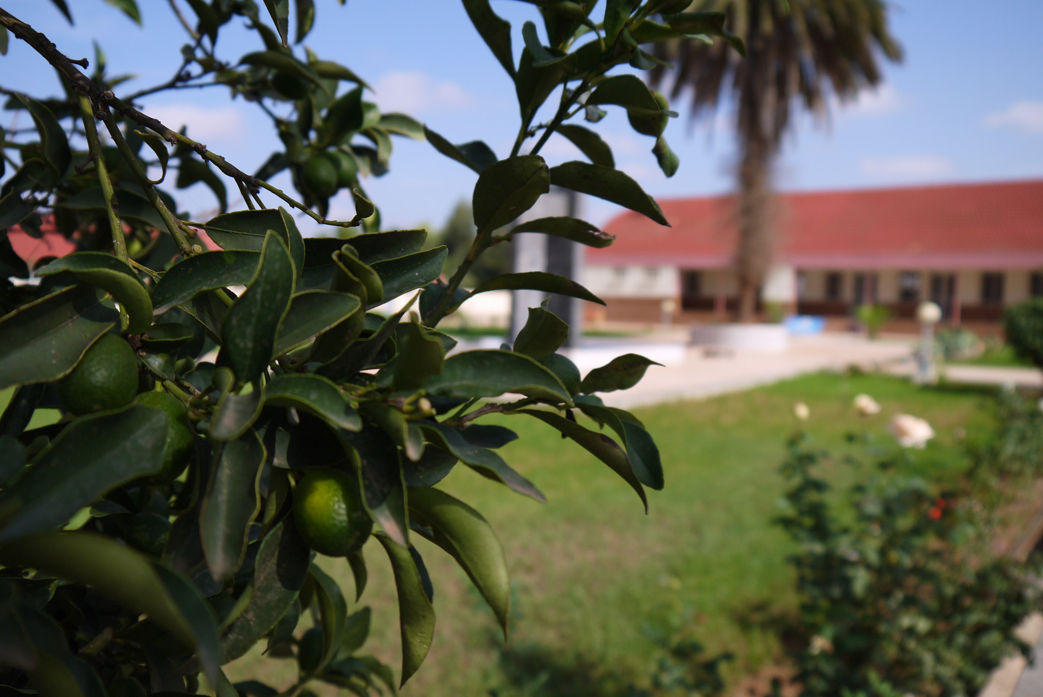 Panasonic Lumix DMC-GF5 sample photo. Agricultural school ; berkane mrocco photography