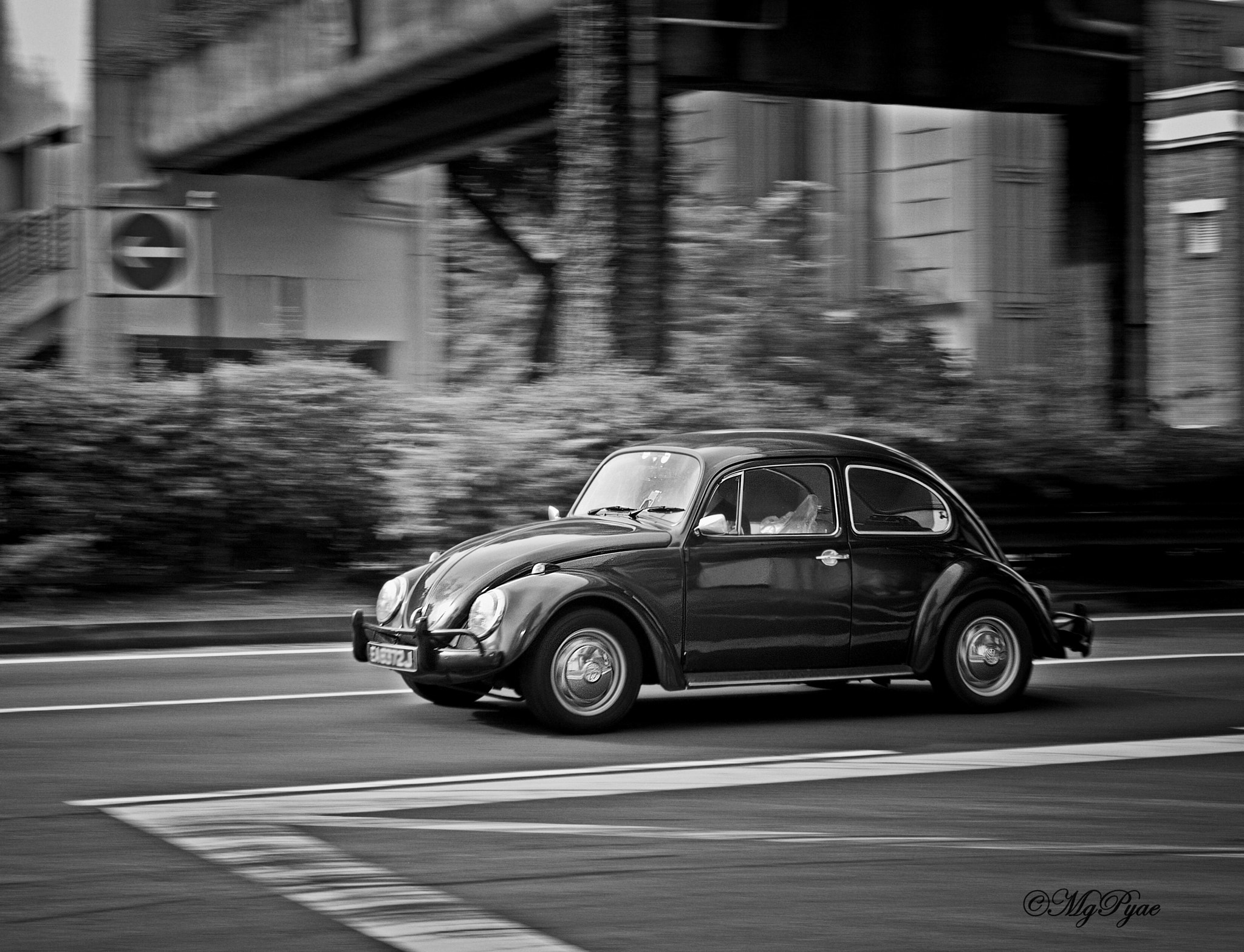 Olympus OM-D E-M5 + Panasonic Leica DG Summilux 25mm F1.4 II ASPH sample photo