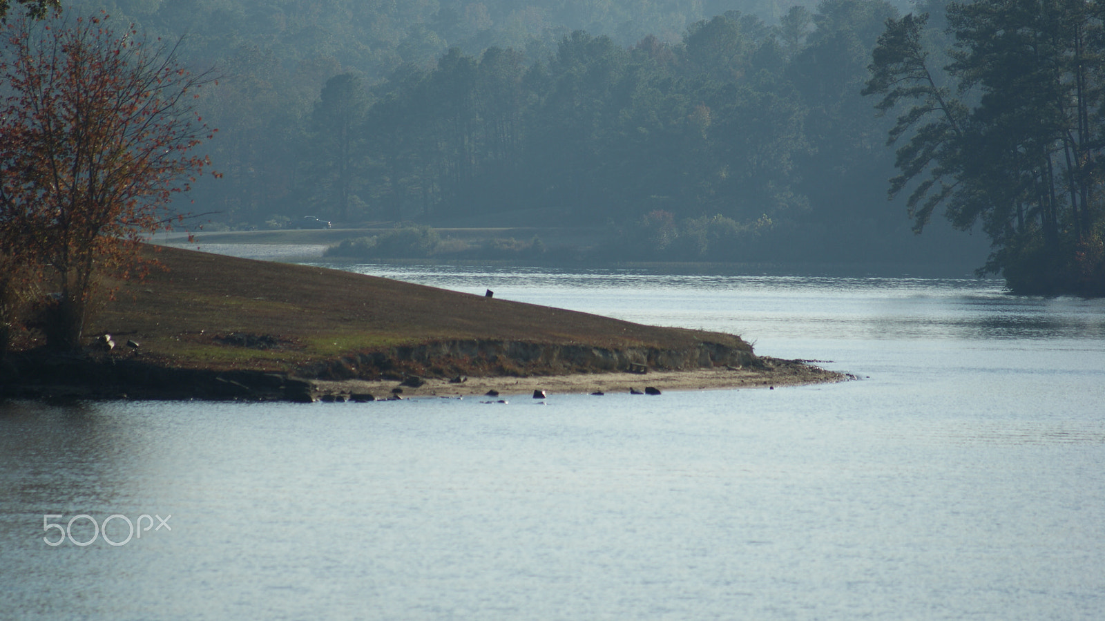 Sony Alpha DSLR-A230 sample photo. Across the pond photography