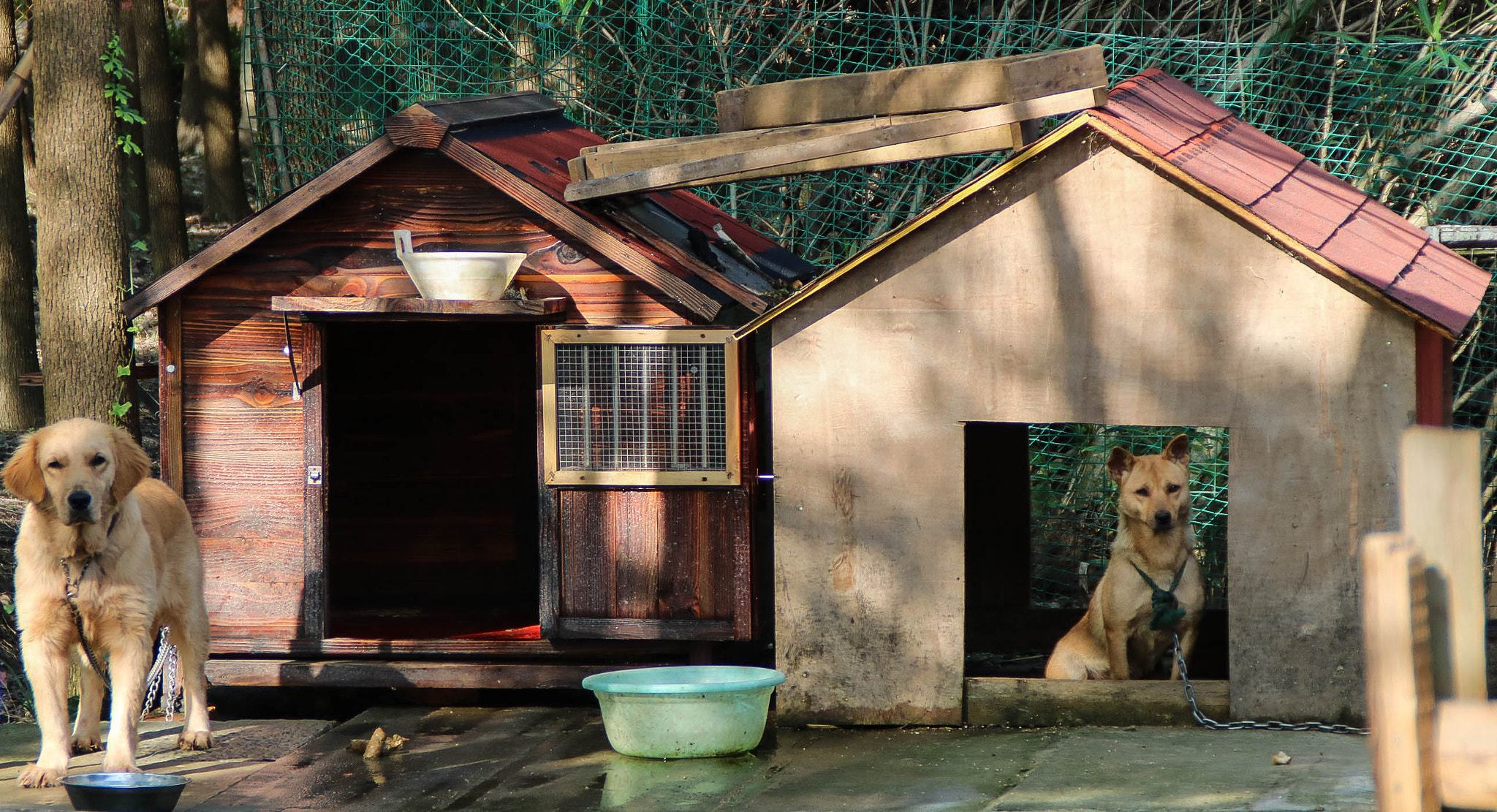 Canon EOS 750D (EOS Rebel T6i / EOS Kiss X8i) sample photo. Img photography