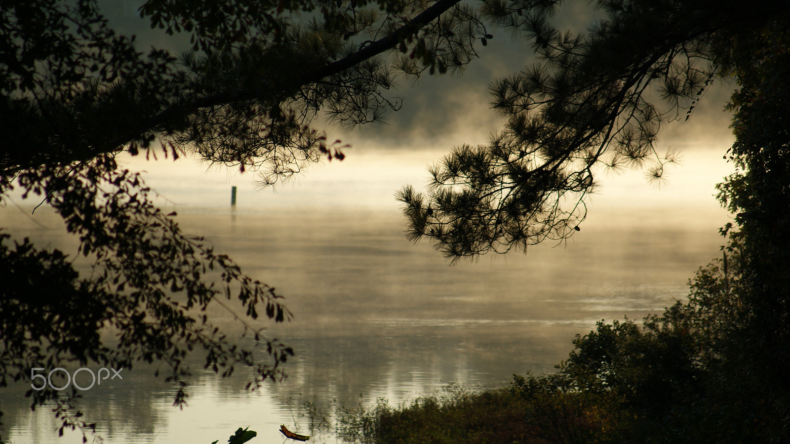 Minolta AF 100-200mm F4.5 sample photo. Mornin' sunshine photography