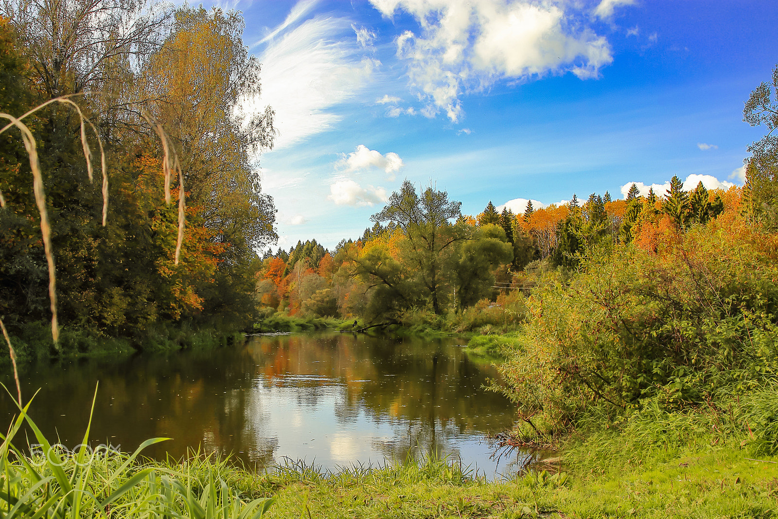 Canon EF 28-80mm f/2.8-4L sample photo. Miss autumn and her paints photography