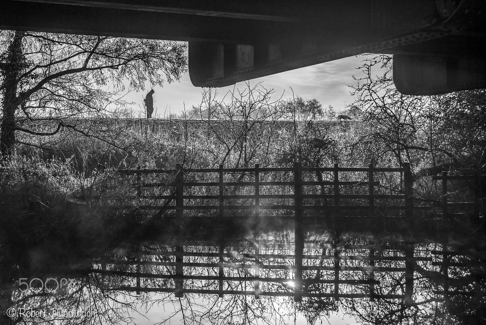 Leica M (Typ 240) sample photo. Following his dog photography