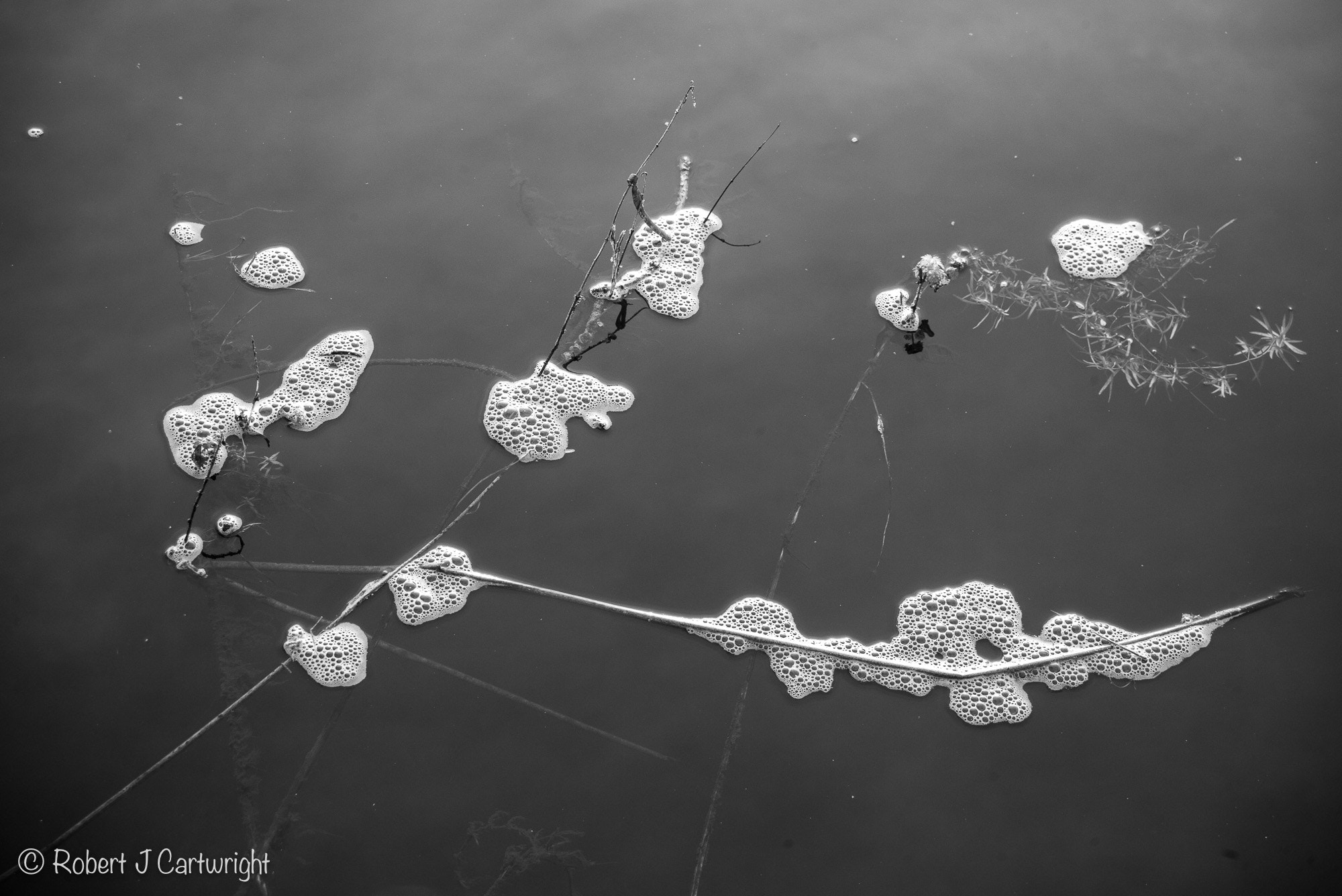 Leica M (Typ 240) sample photo. Frothy water photography