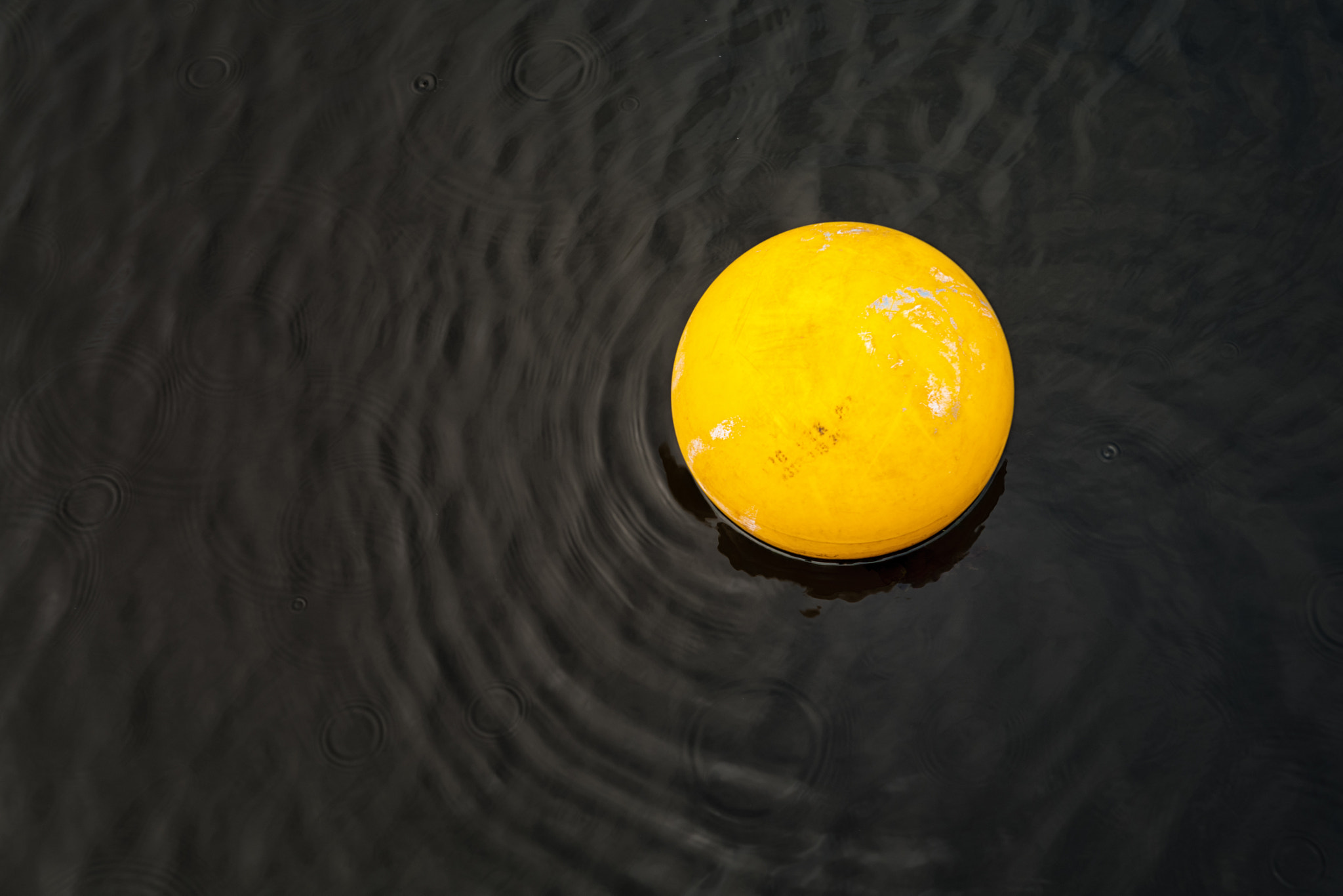 Leica Noctilux-M 50mm F0.95 ASPH sample photo. The egg yolk or super moon? photography