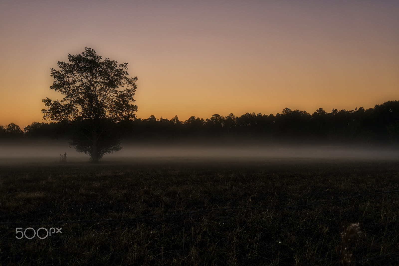 E 35mm F2 sample photo. Foggy saturday photography