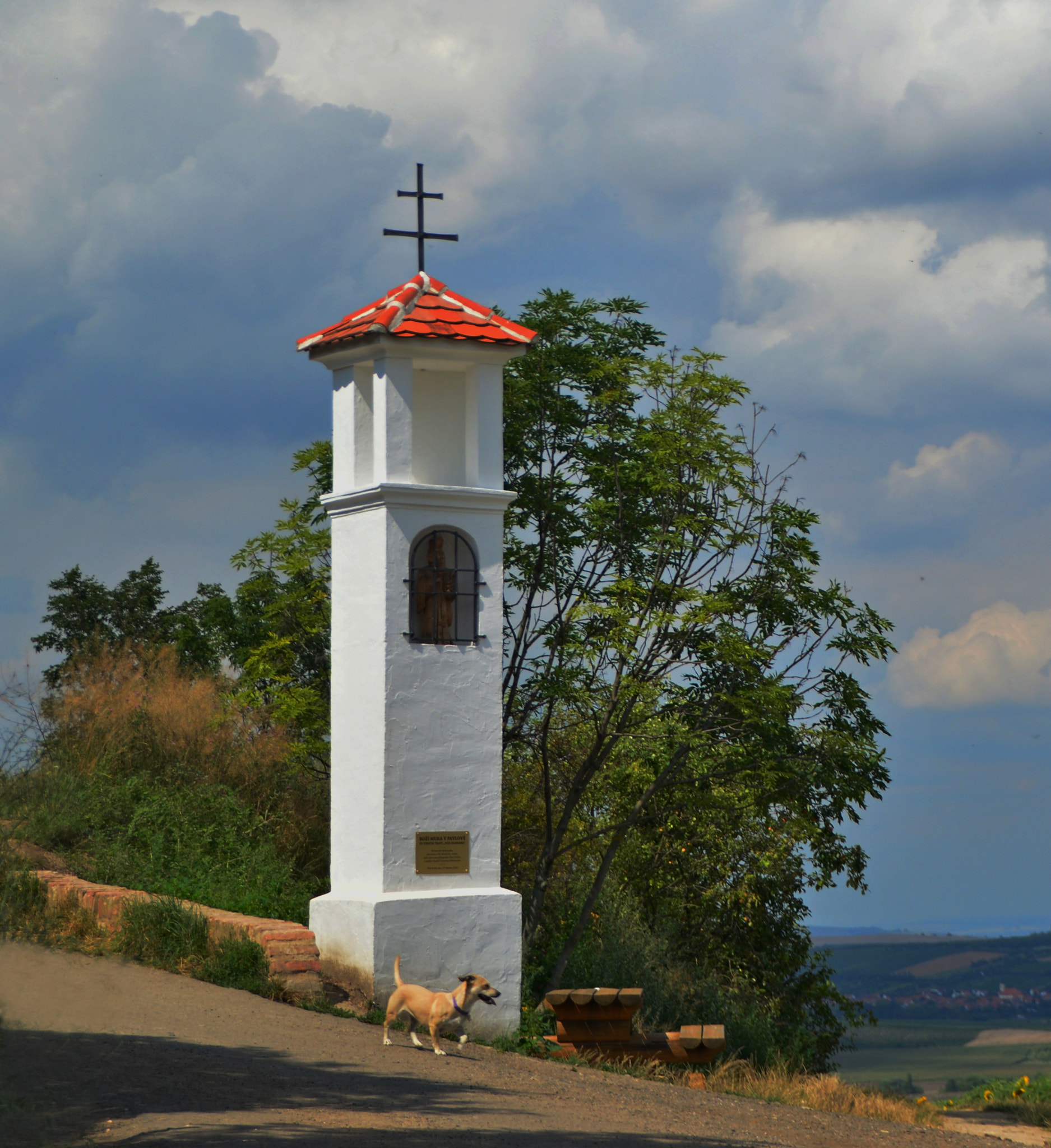 Nikon D3200 sample photo. By the road... photography