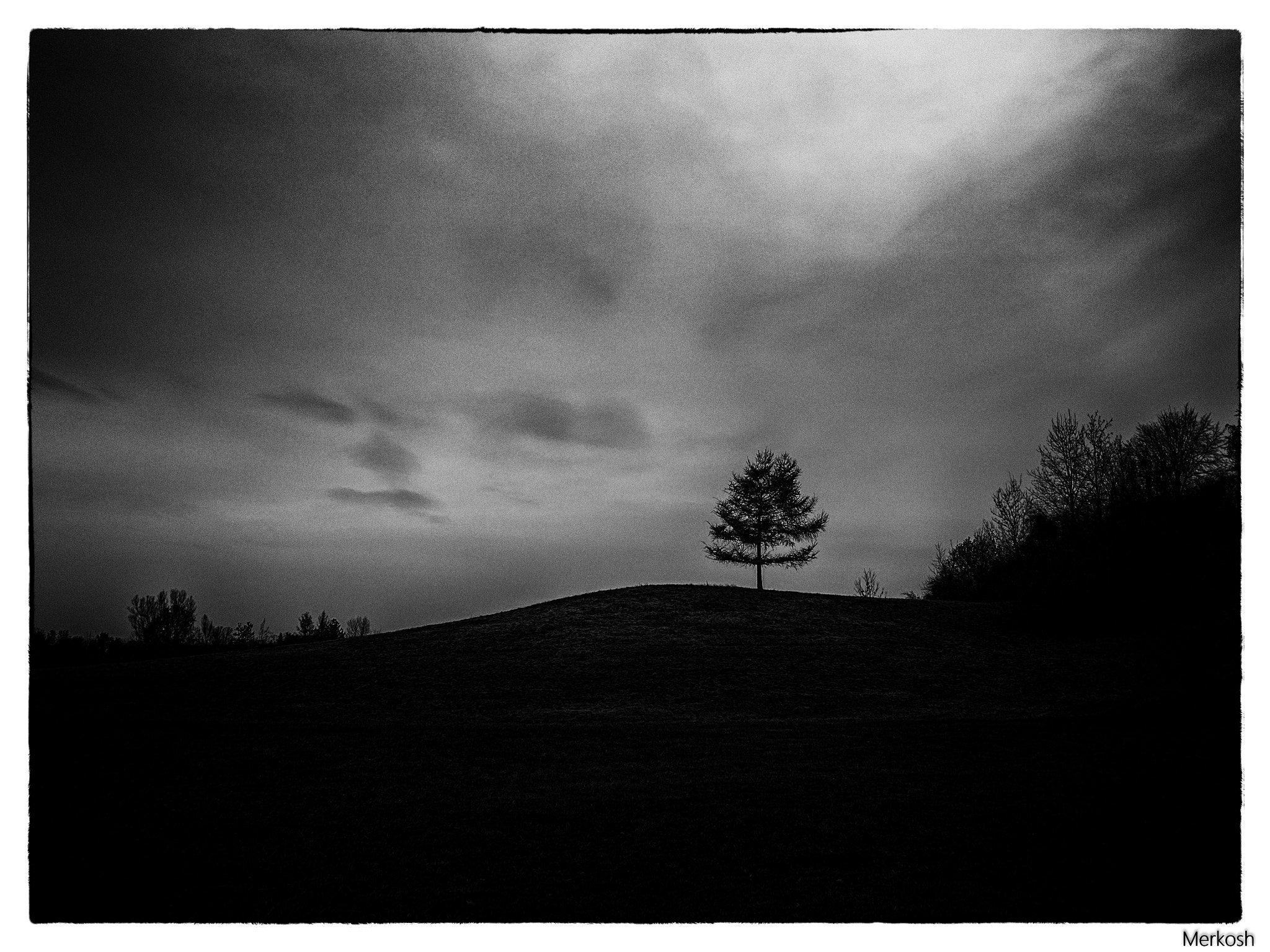 Olympus OM-D E-M5 II sample photo. Landscape noir photography