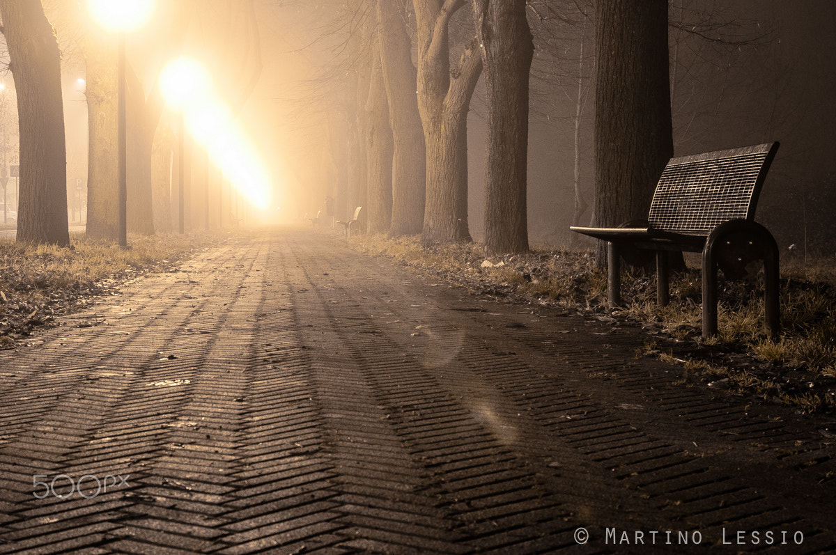 Nikon D300S sample photo. Foggy path photography