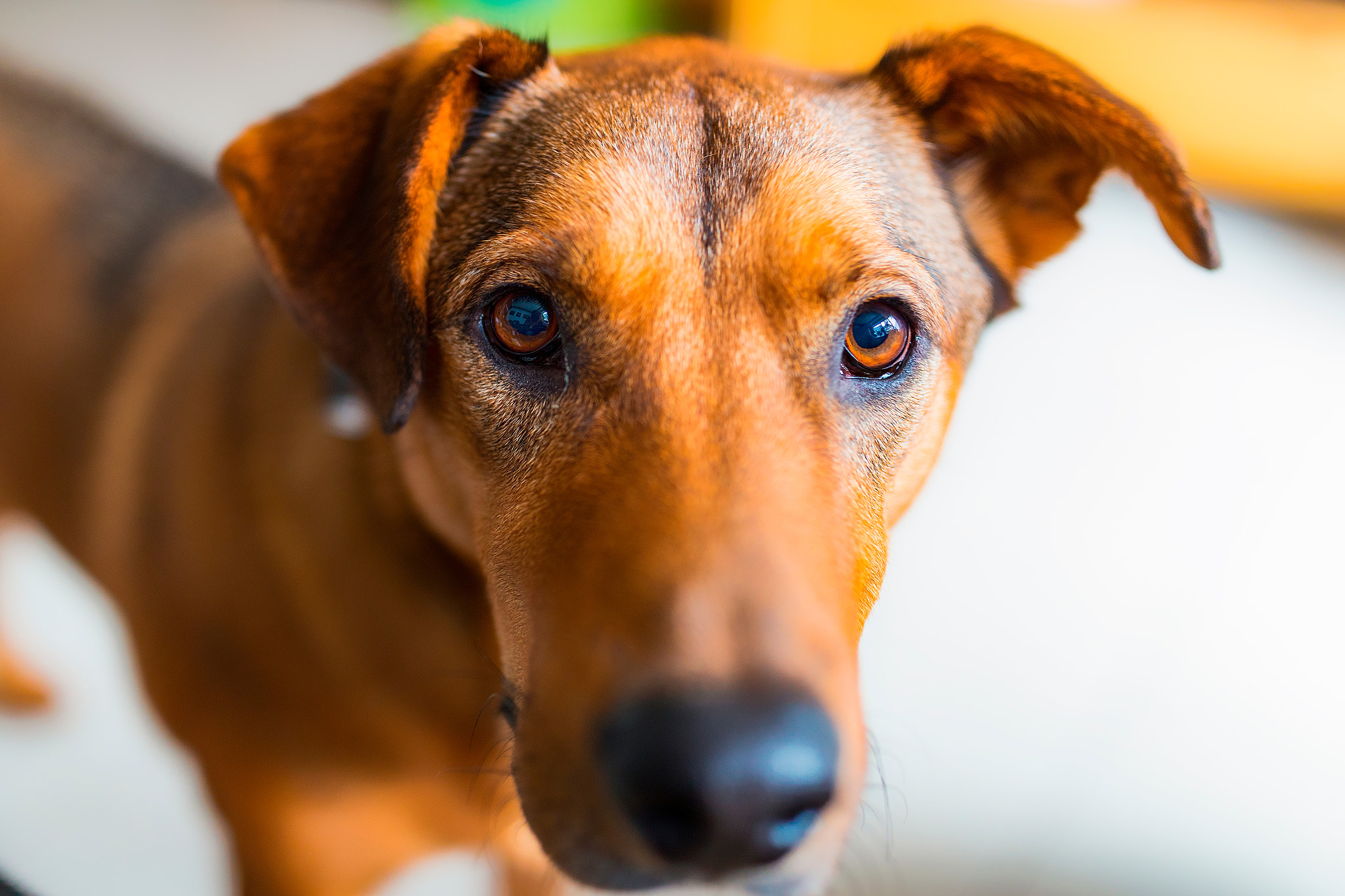 Canon EF 35mm F1.4L II USM sample photo. Kalle..... photography