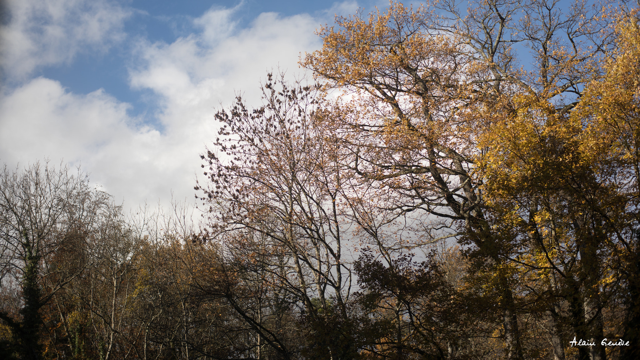 ZEISS Planar T* 50mm F1.4 sample photo. Versoix photography